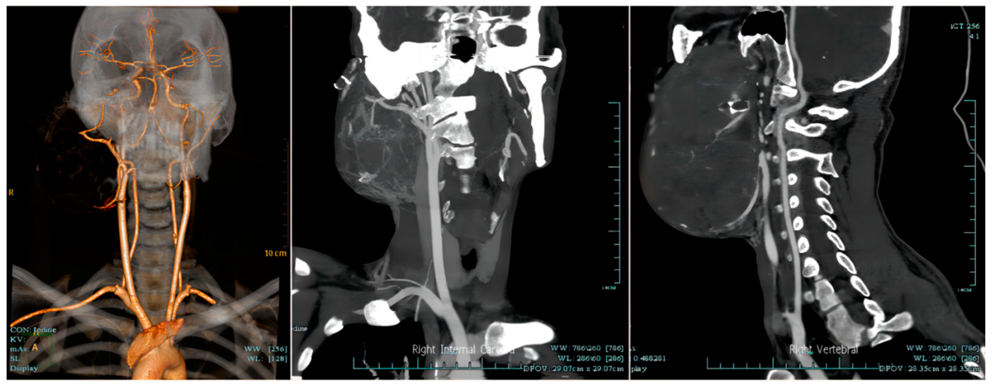 Medicina 59 01956 g005