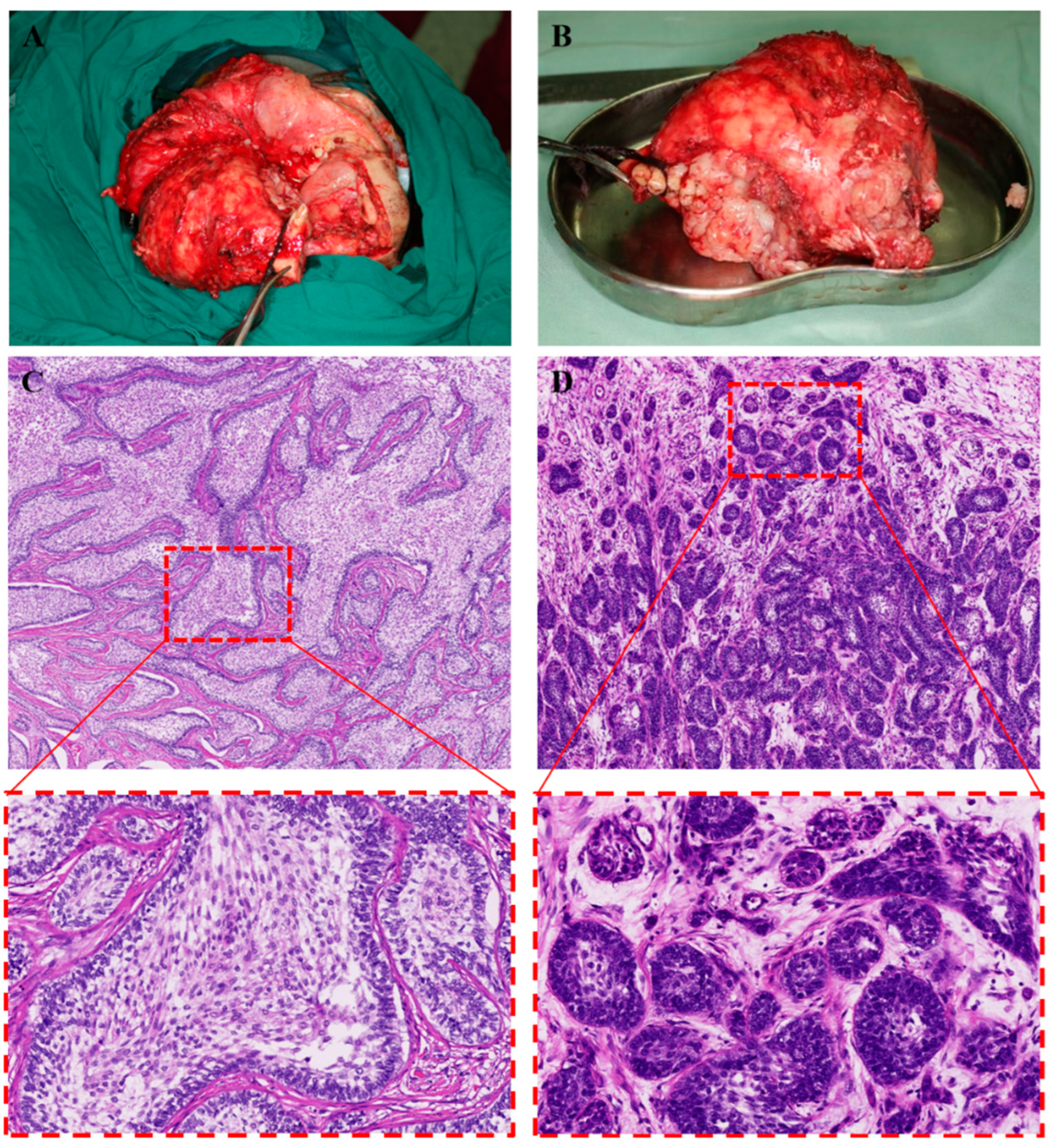 Medicina 59 01956 g006