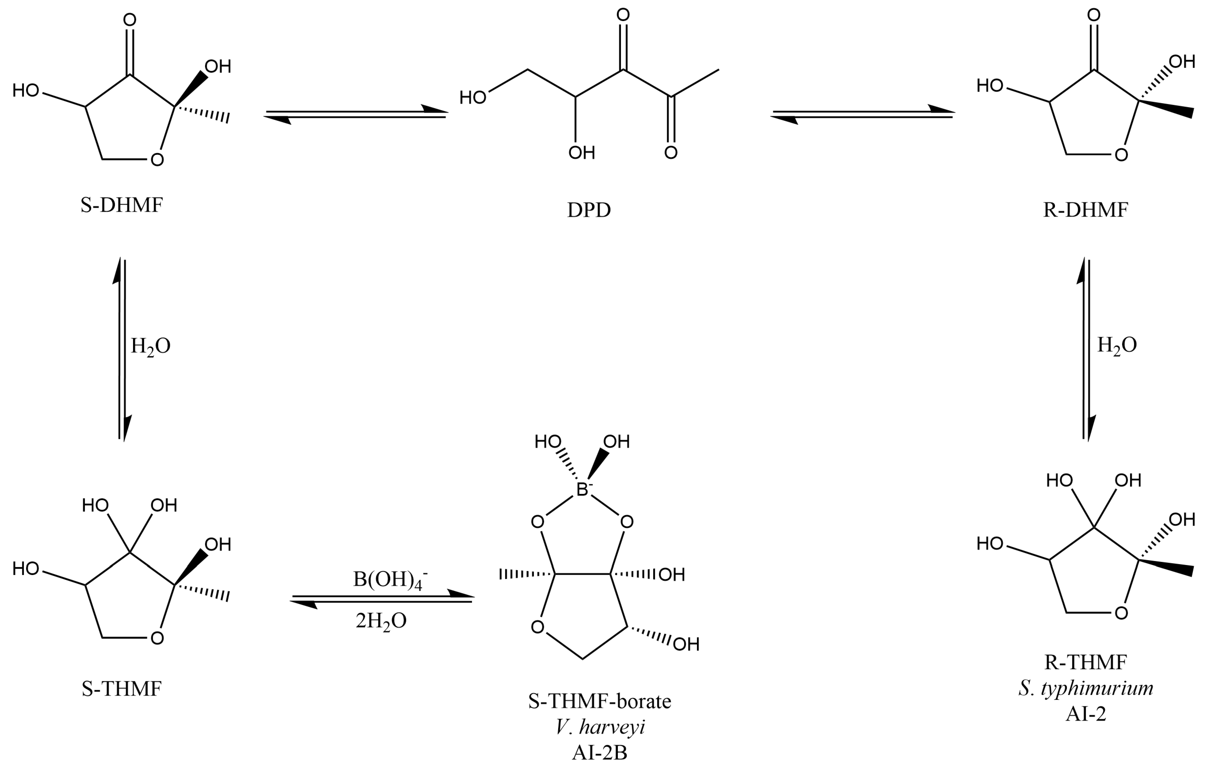 Medicina 59 01965 g001 Medicina 59 01965 g001