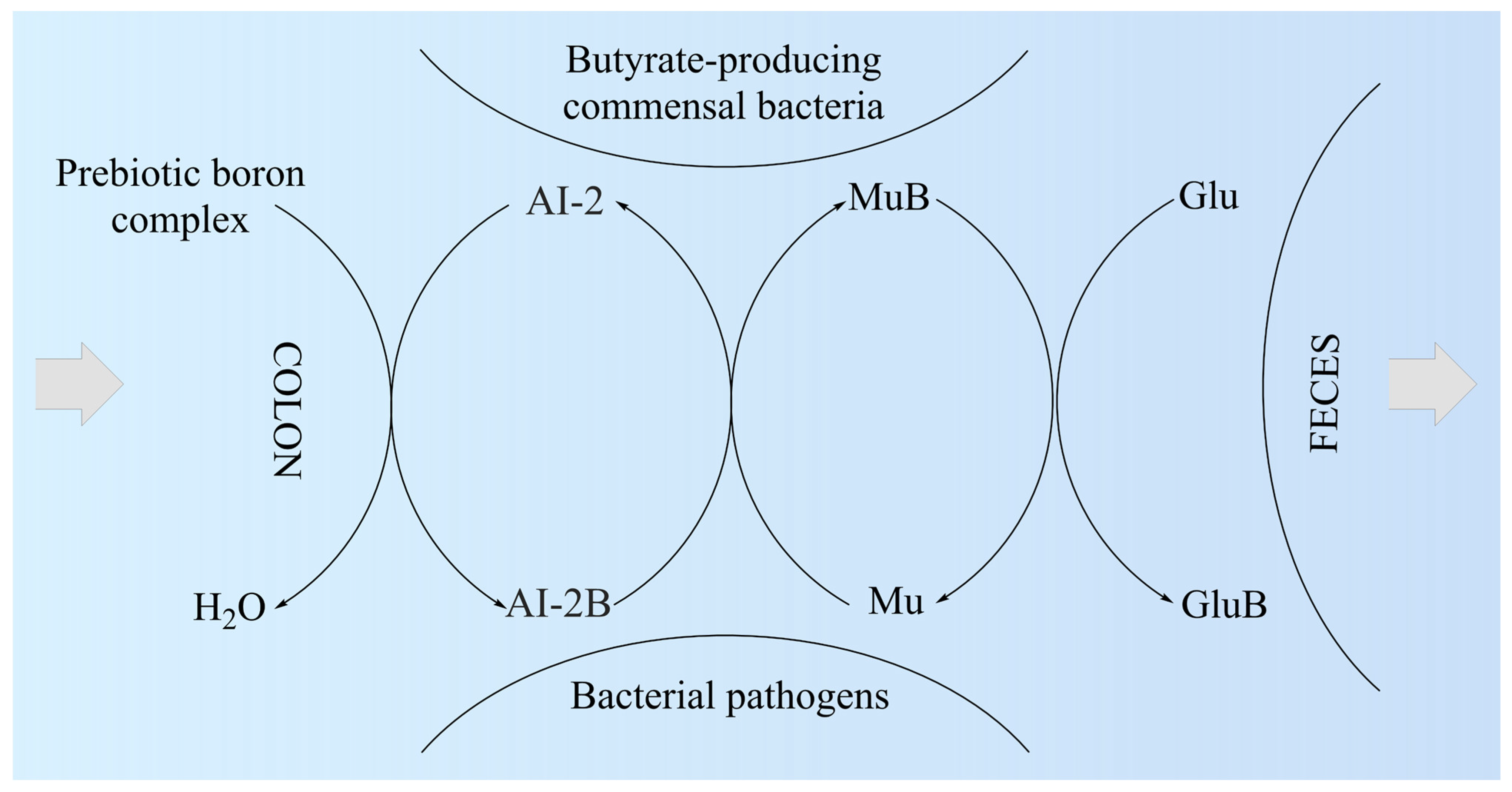 Medicina 59 01965 g002 Medicina 59 01965 g002