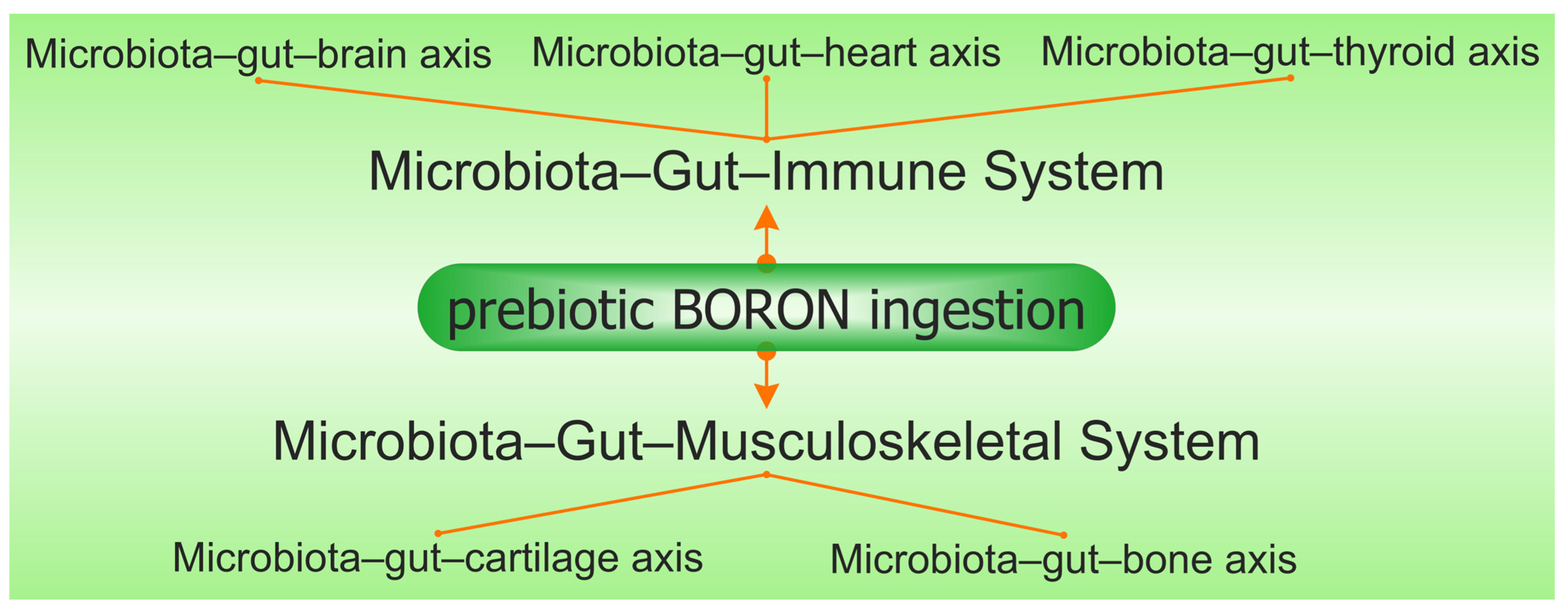 Medicina 59 01965 g003 Medicina 59 01965 g003