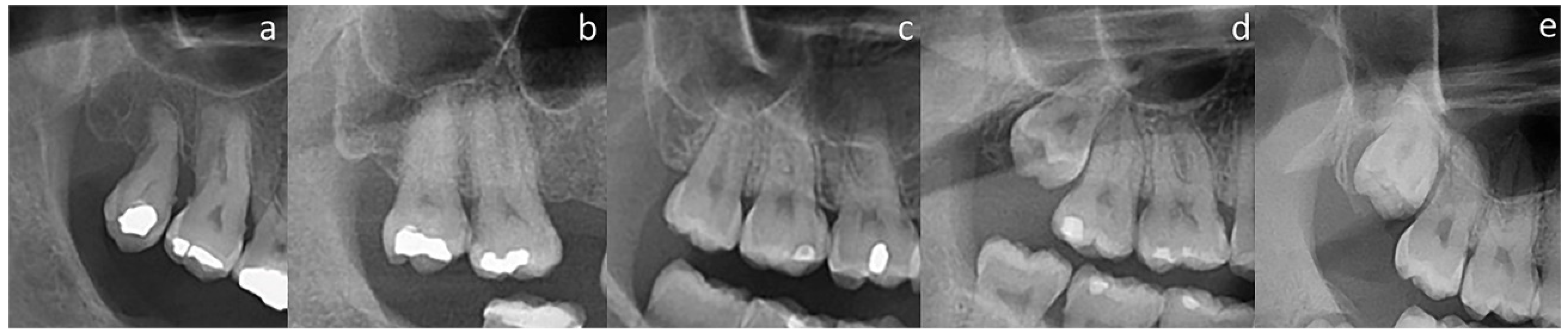 Medicina 59 01975 g002