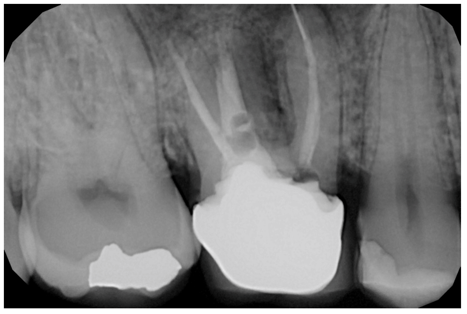 Medicina 59 01978 g001