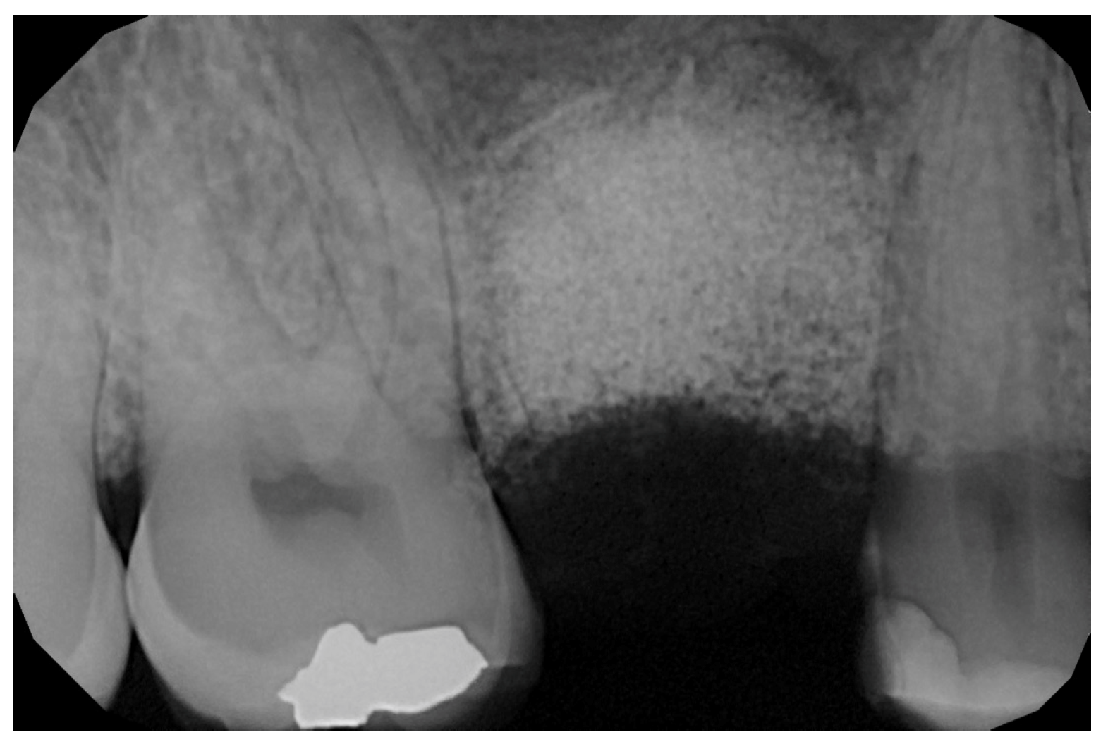 Medicina 59 01978 g004