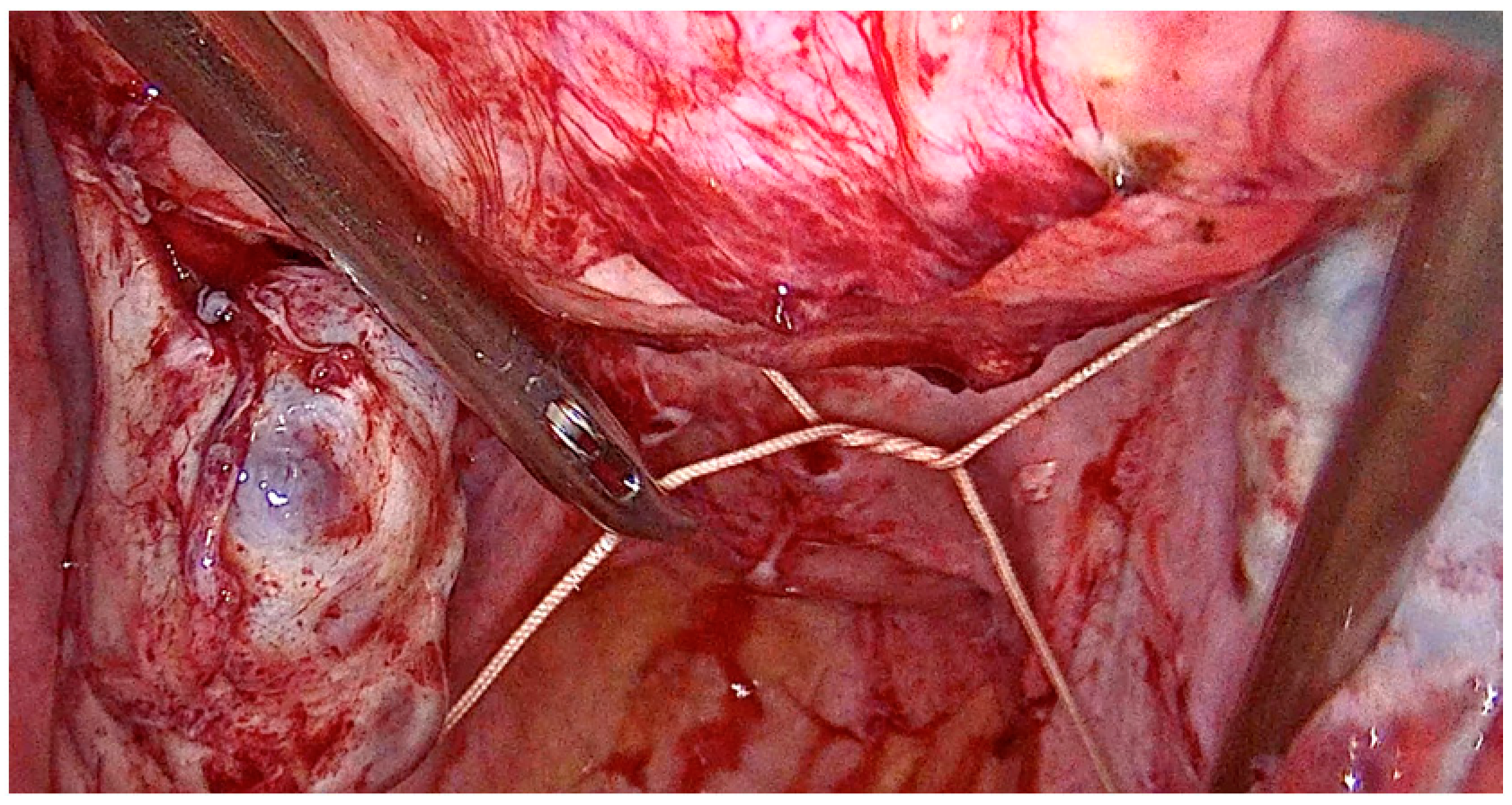 Medicina 59 01979 g001