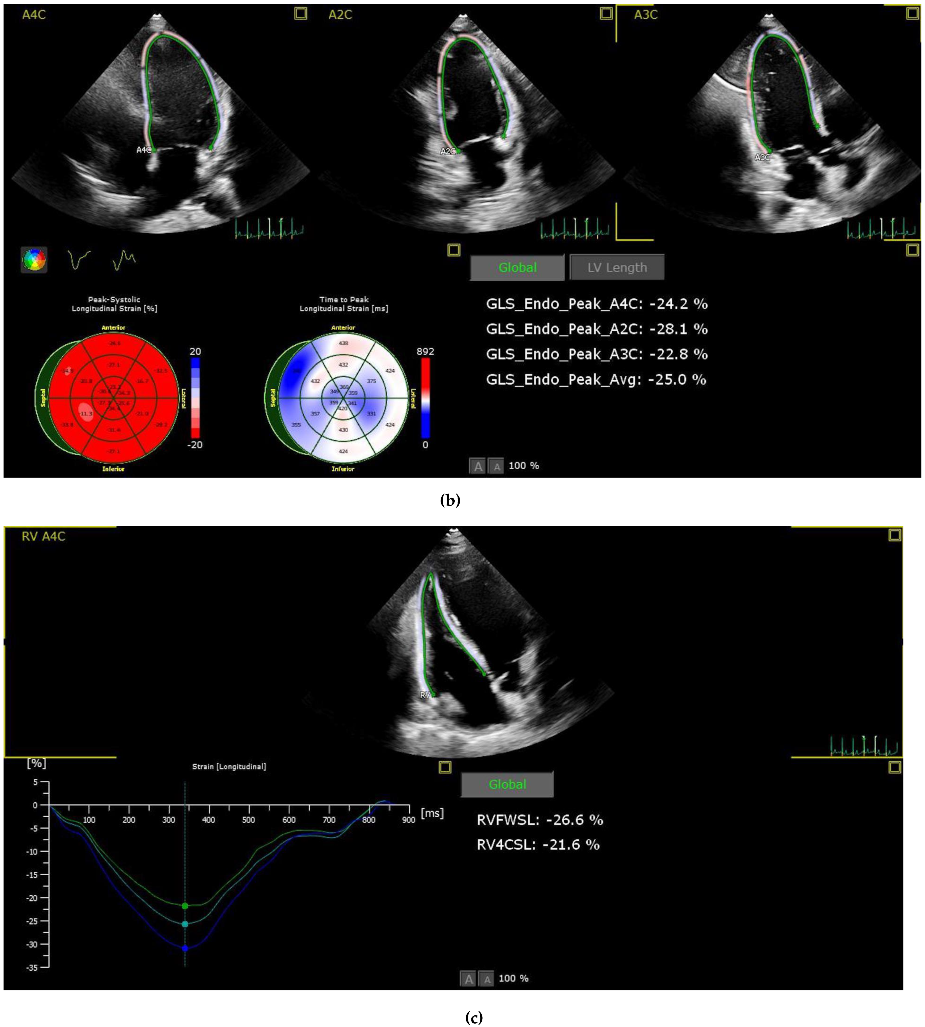Medicina 59 01982 g001b