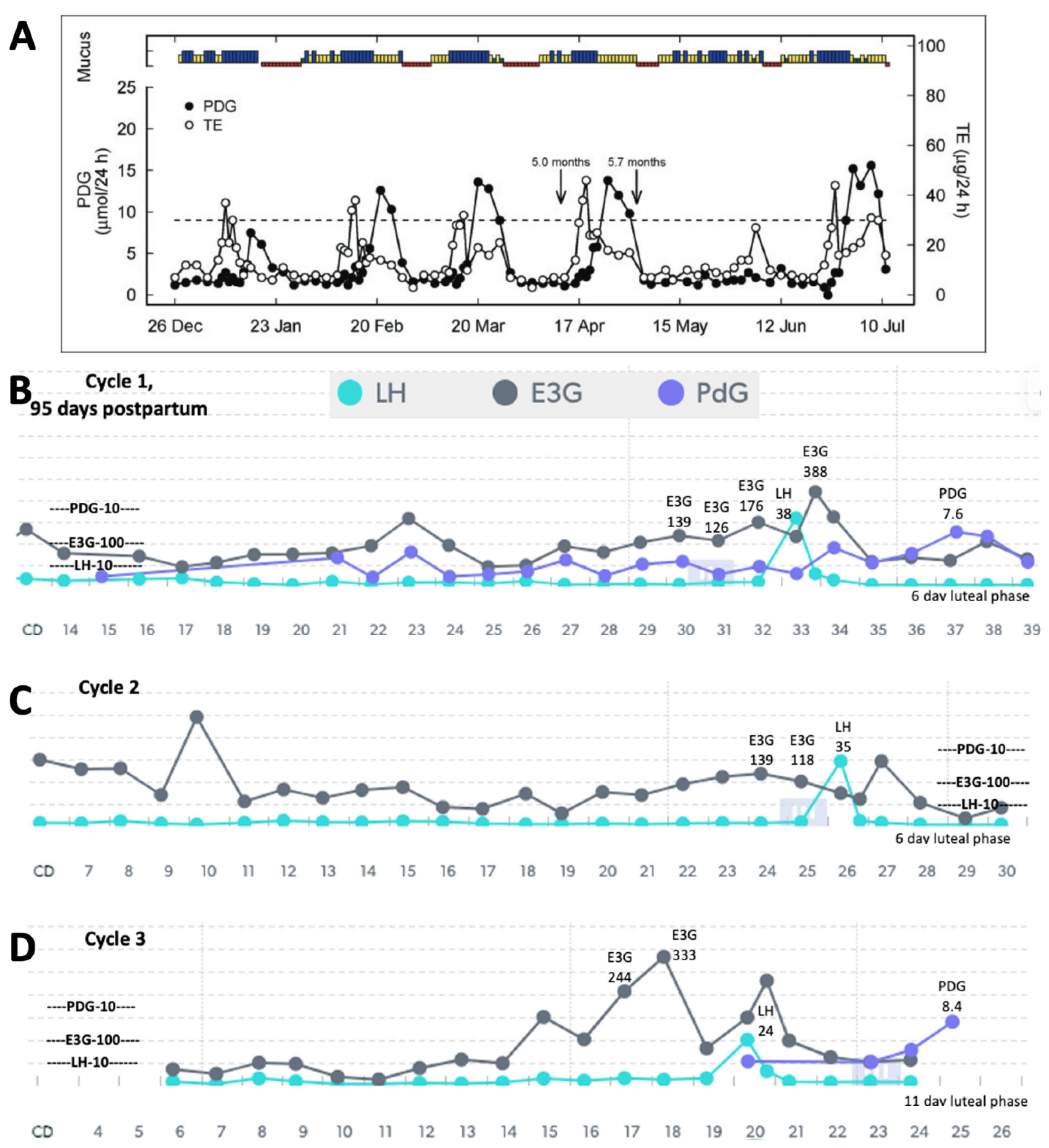 Medicina 59 02008 g004