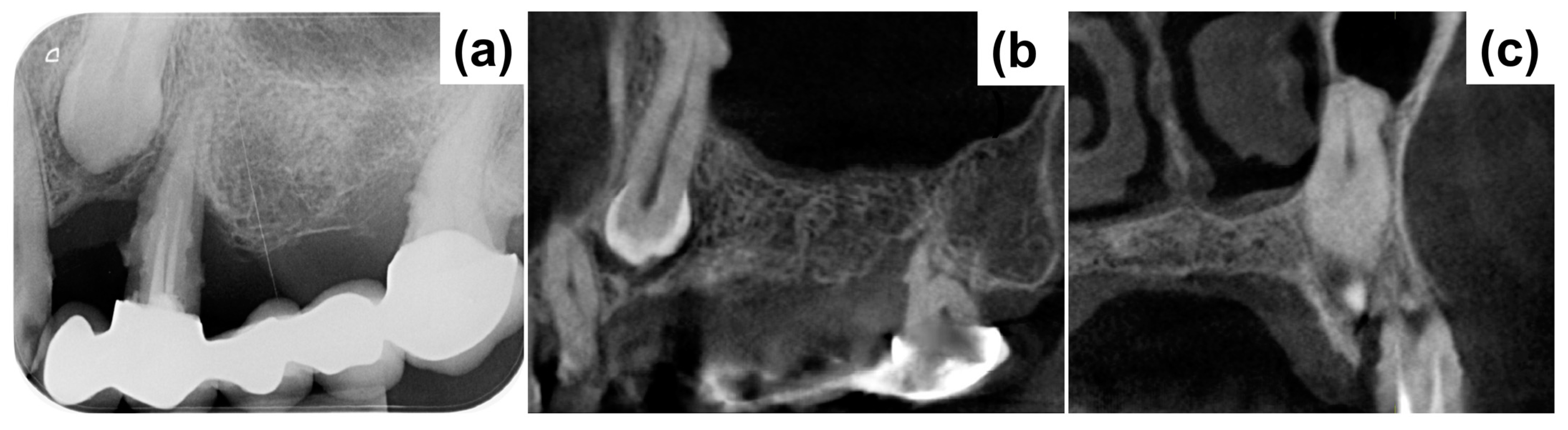 Medicina 59 02009 g001