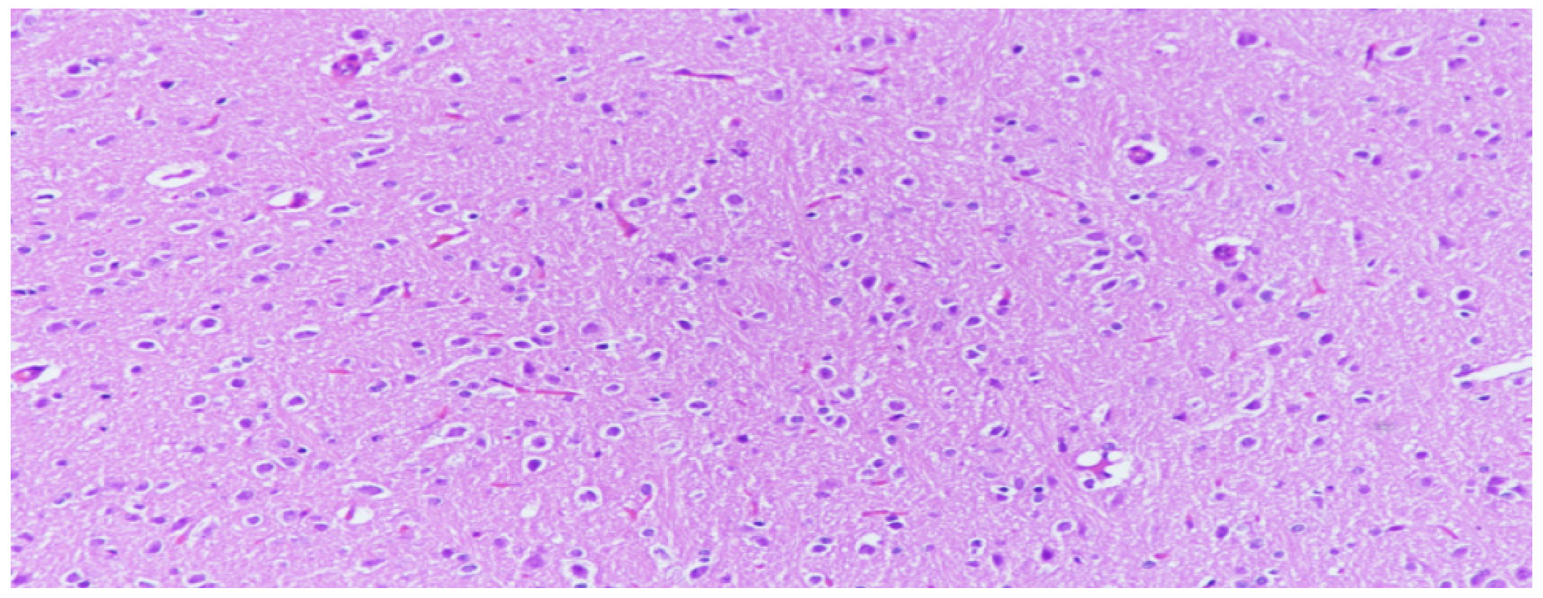 Medicina 59 02026 g001