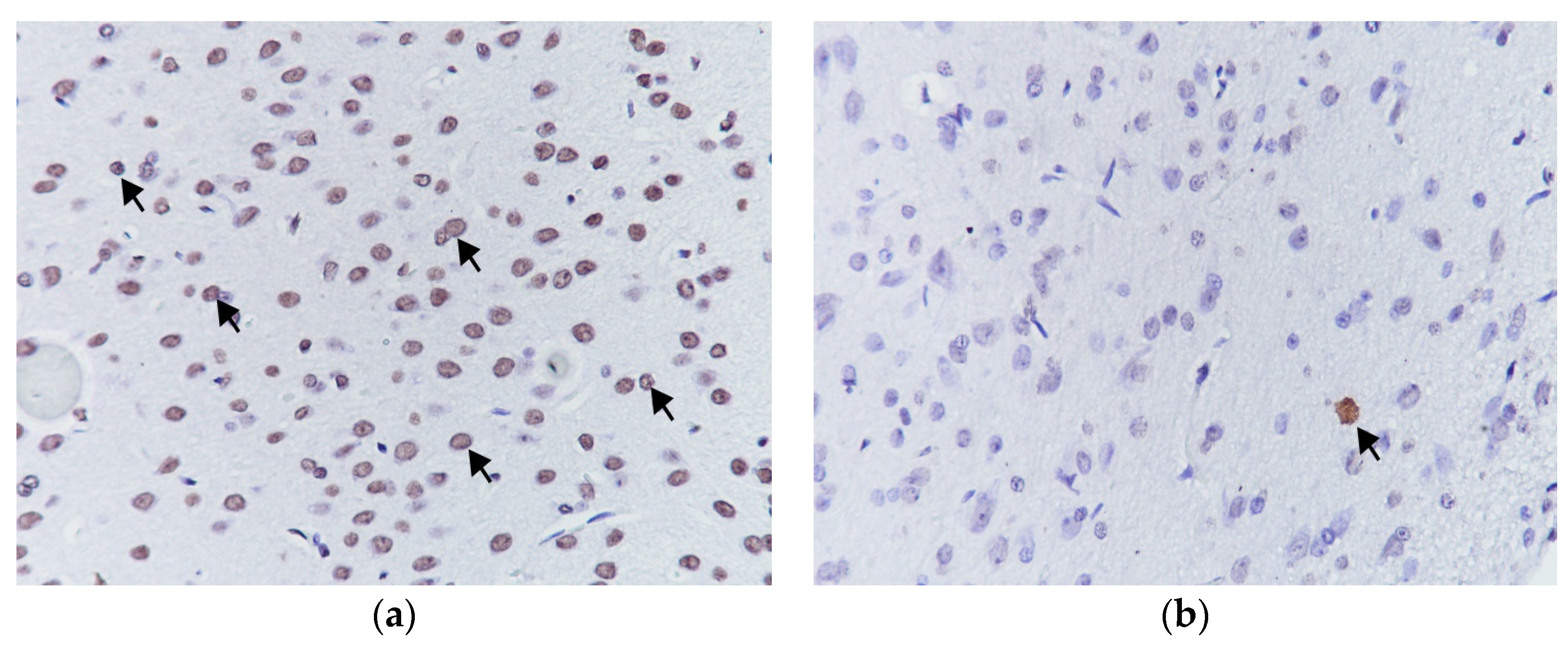 Medicina 59 02026 g003