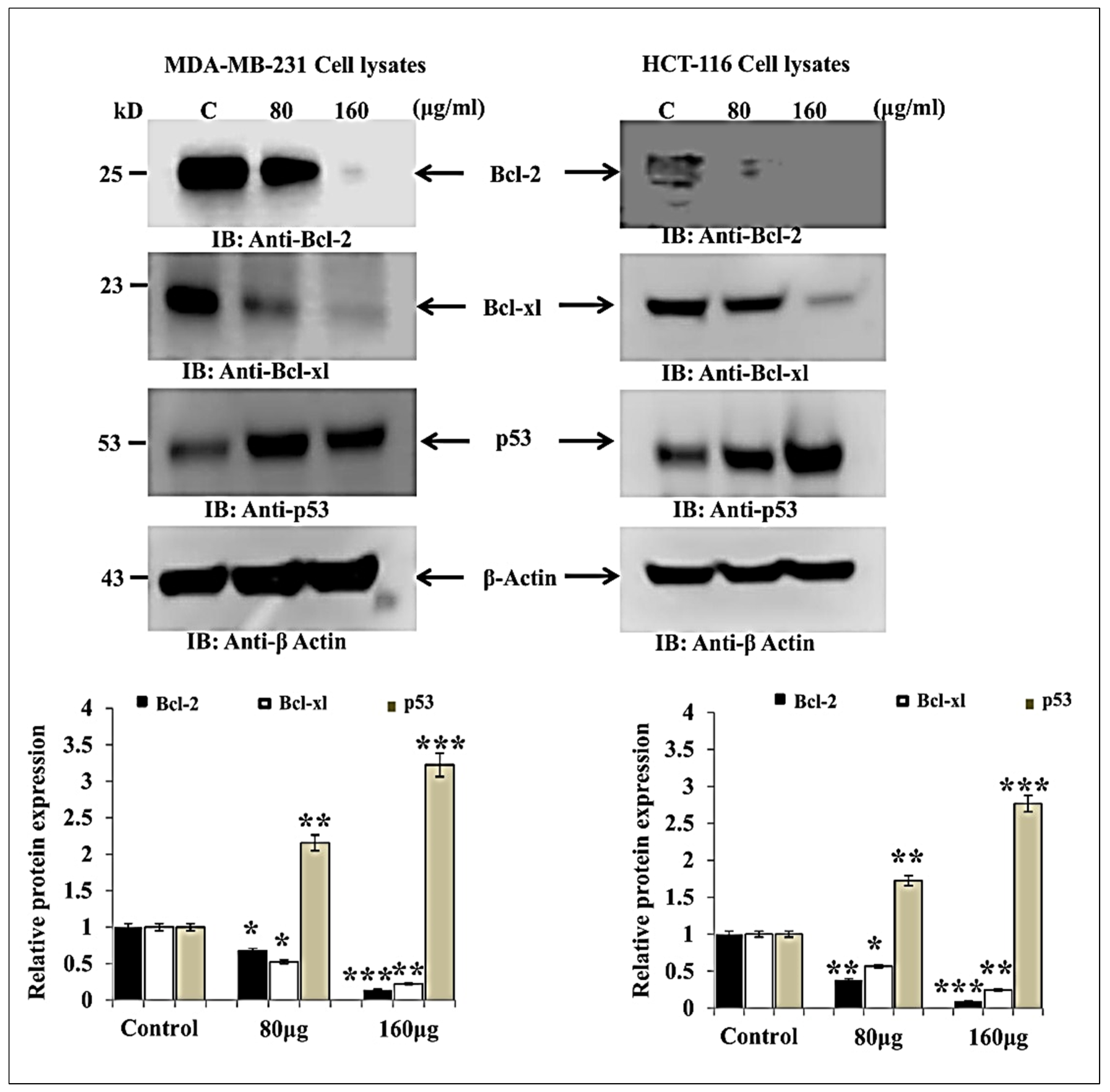 Medicina 59 02061 g002