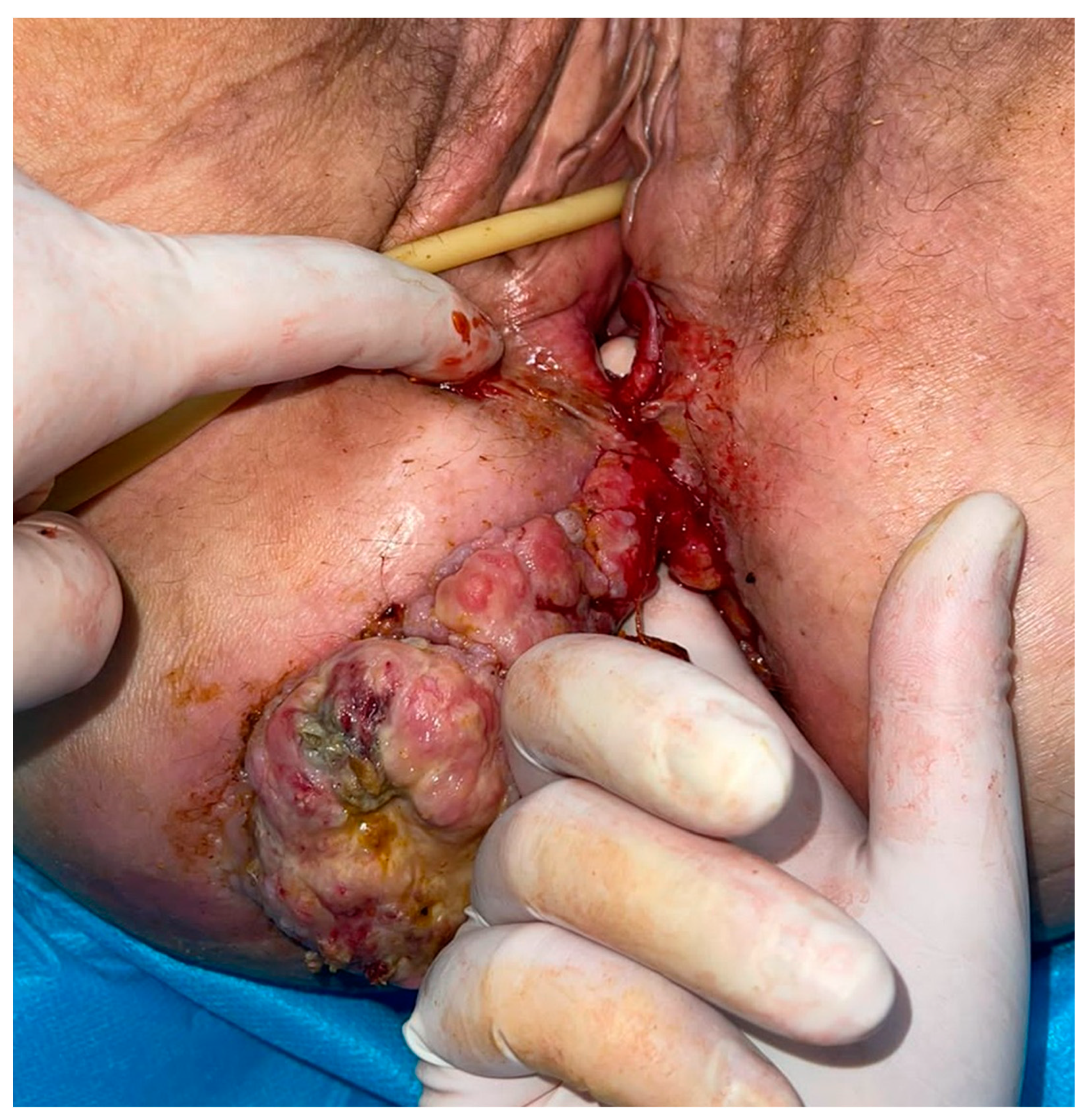 Medicina 59 02076 g001