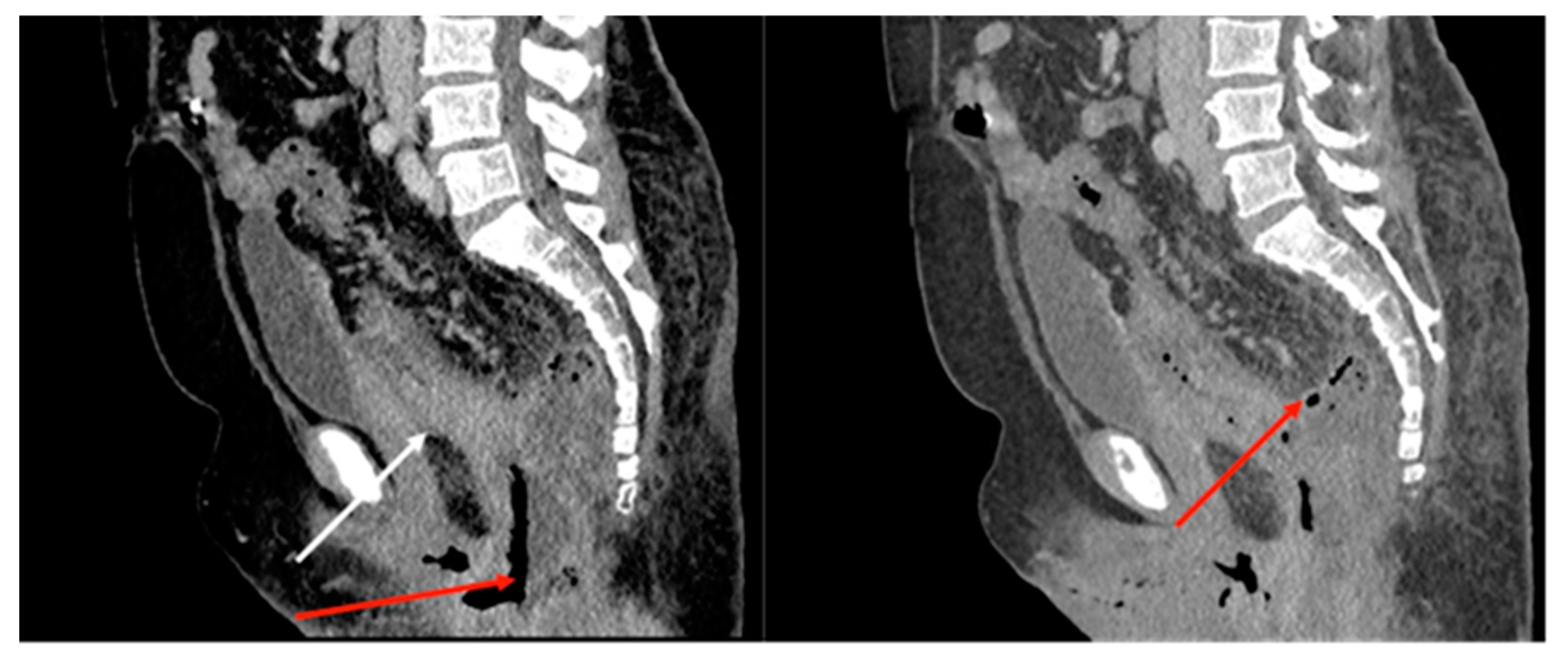 Medicina 59 02076 g002