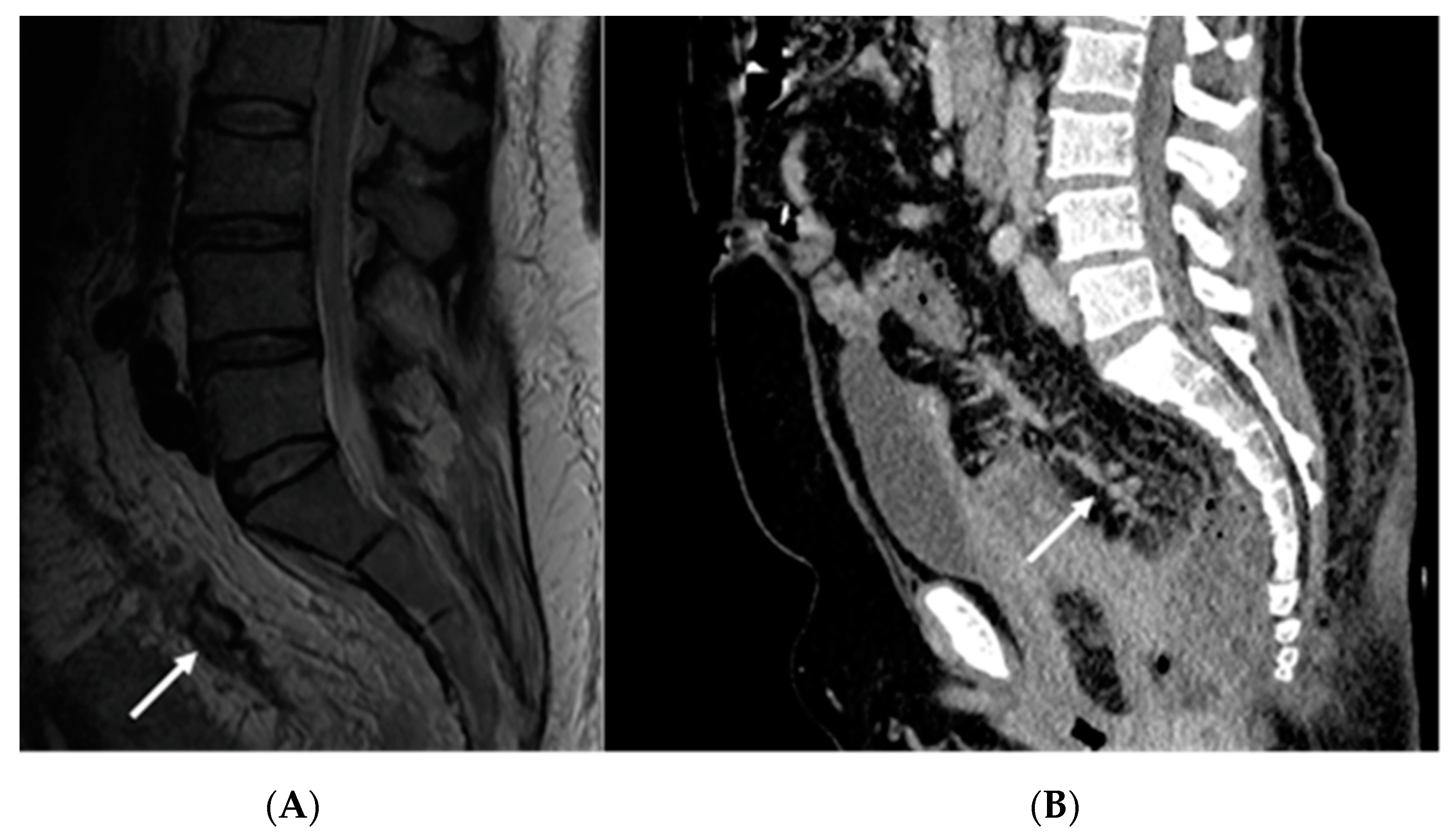 Medicina 59 02076 g003