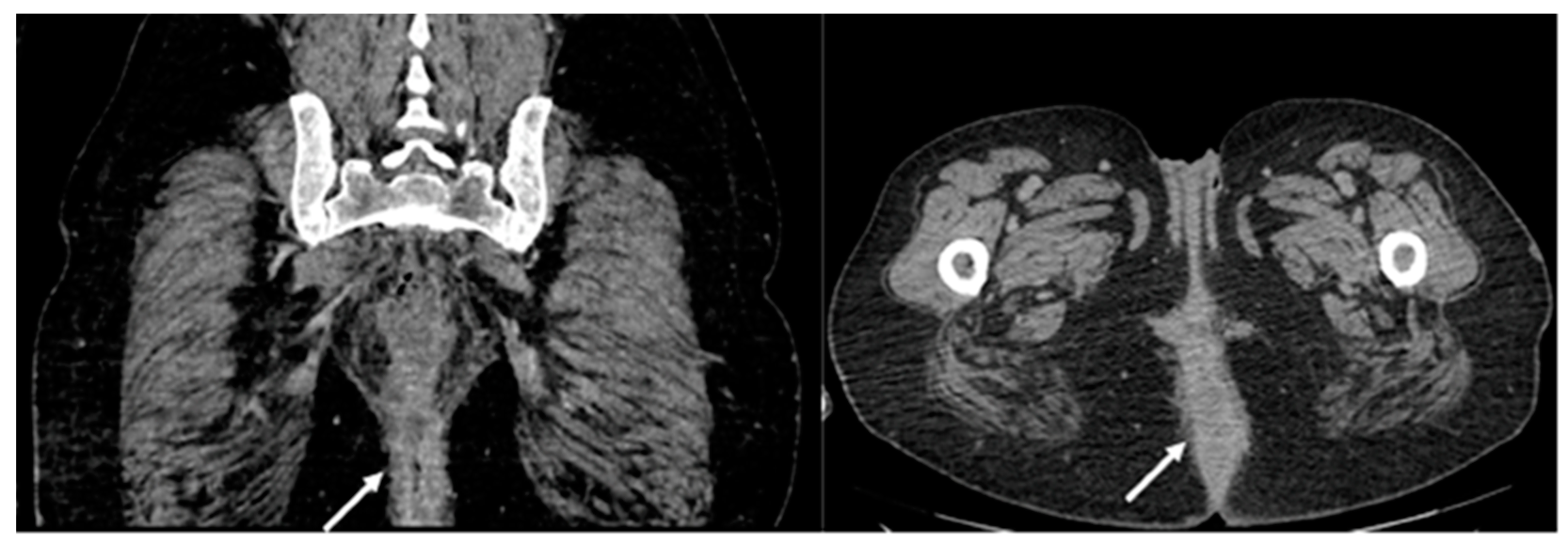 Medicina 59 02076 g004