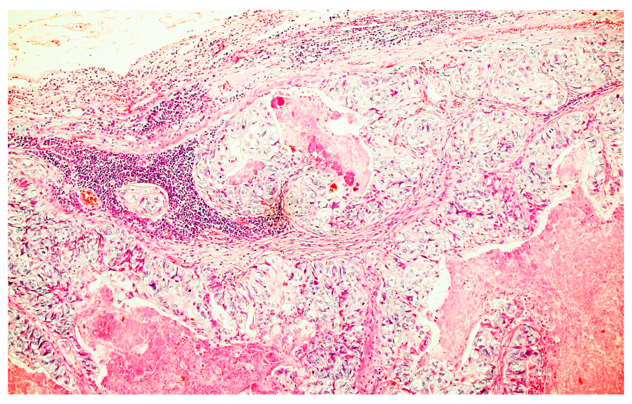 Medicina 59 02076 g007