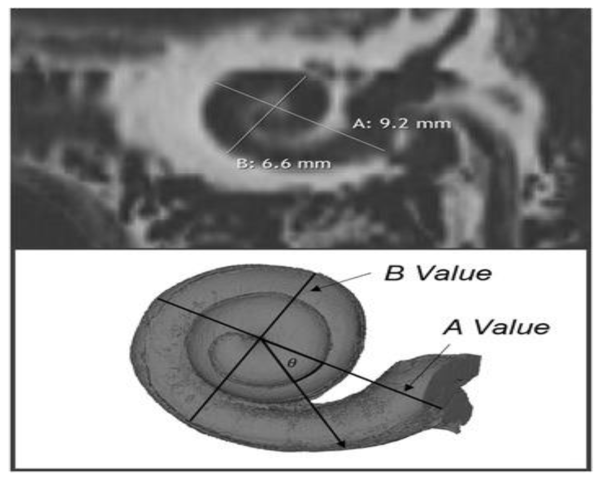 Medicina 59 02086 g001