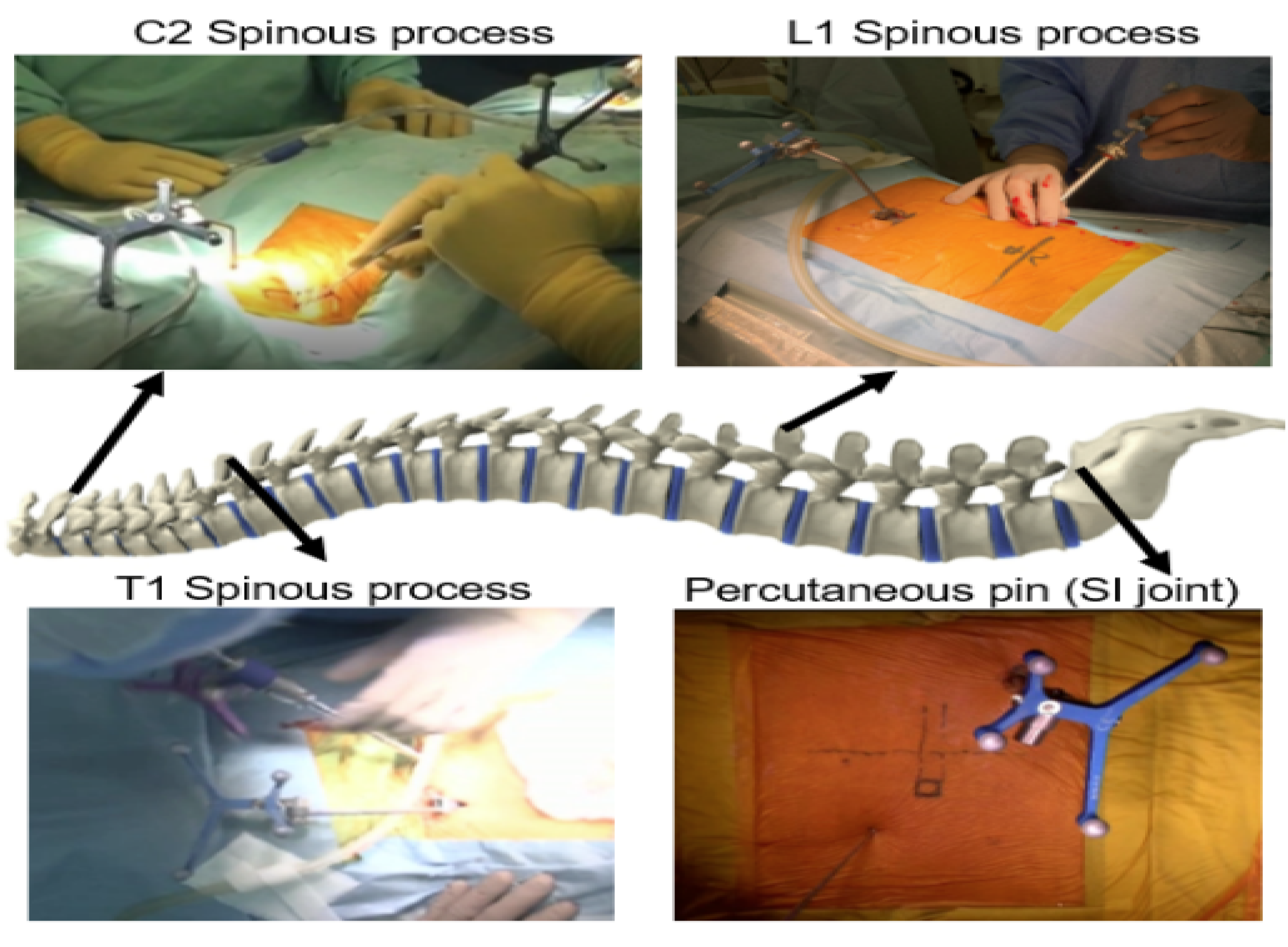 Medicina 59 02116 g007