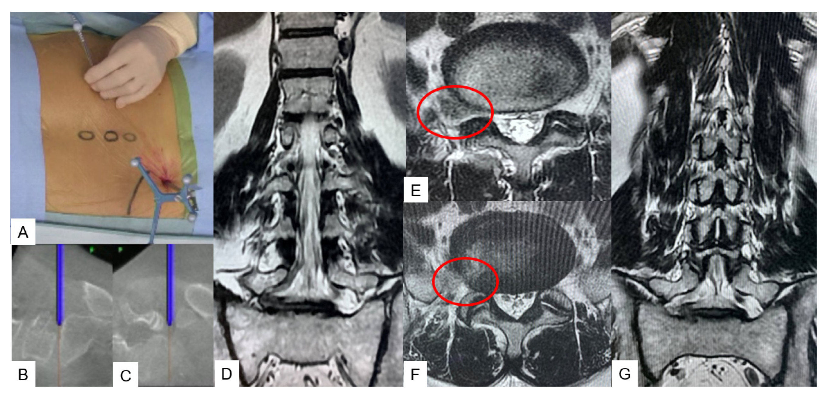 Medicina 59 02116 g008