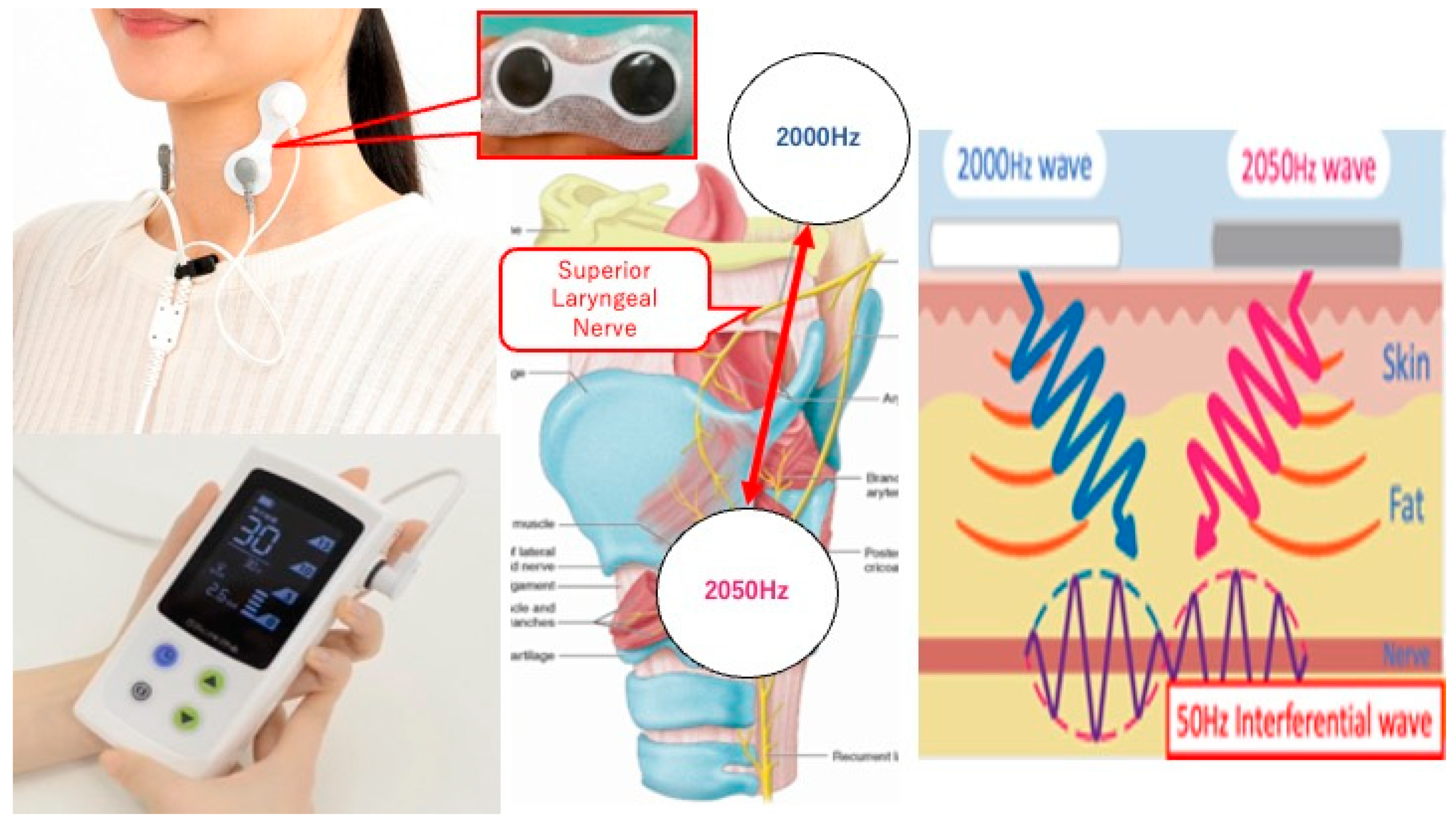 Medicina 59 02120 g001