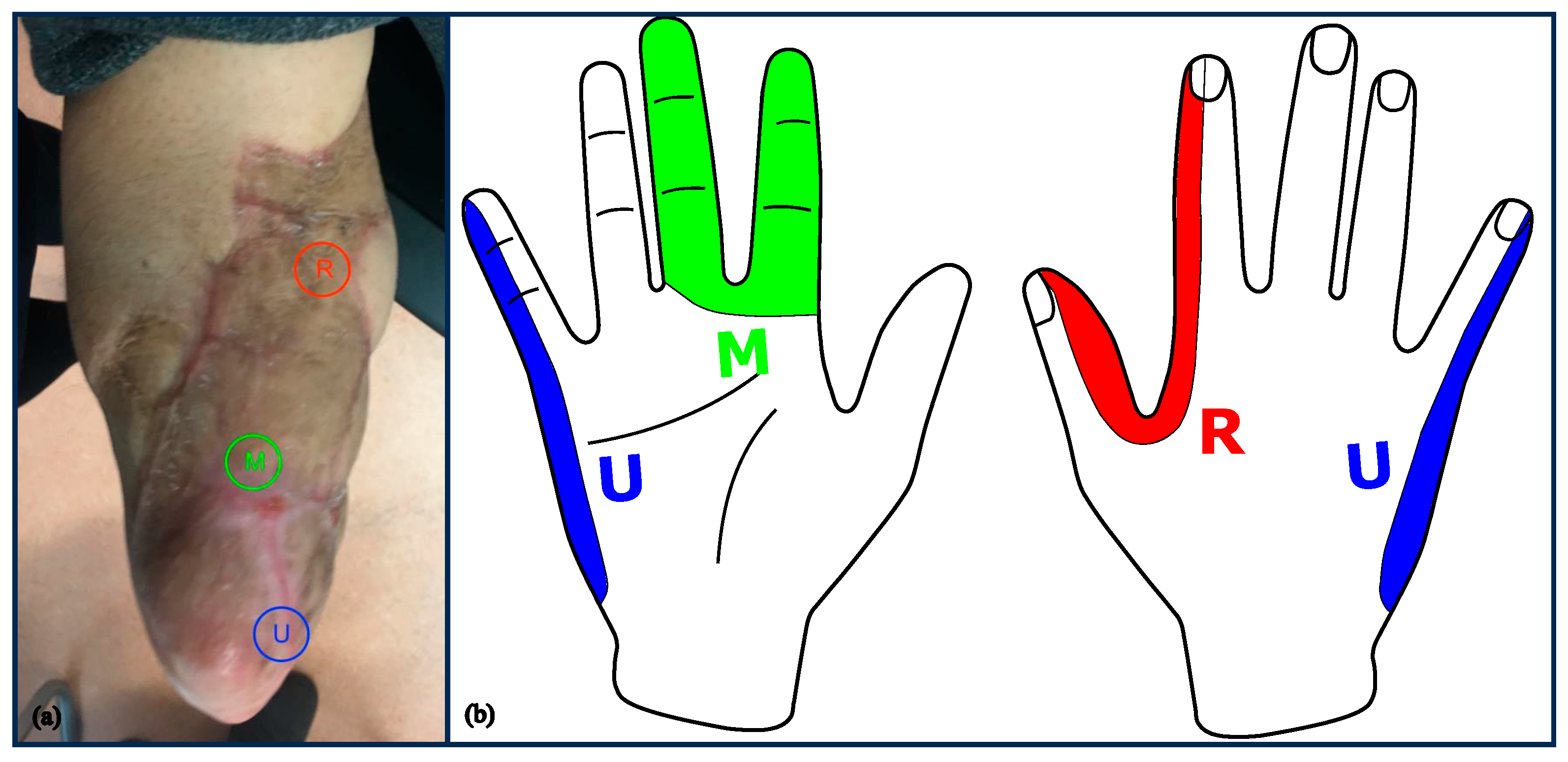 Medicina 59 02134 g003