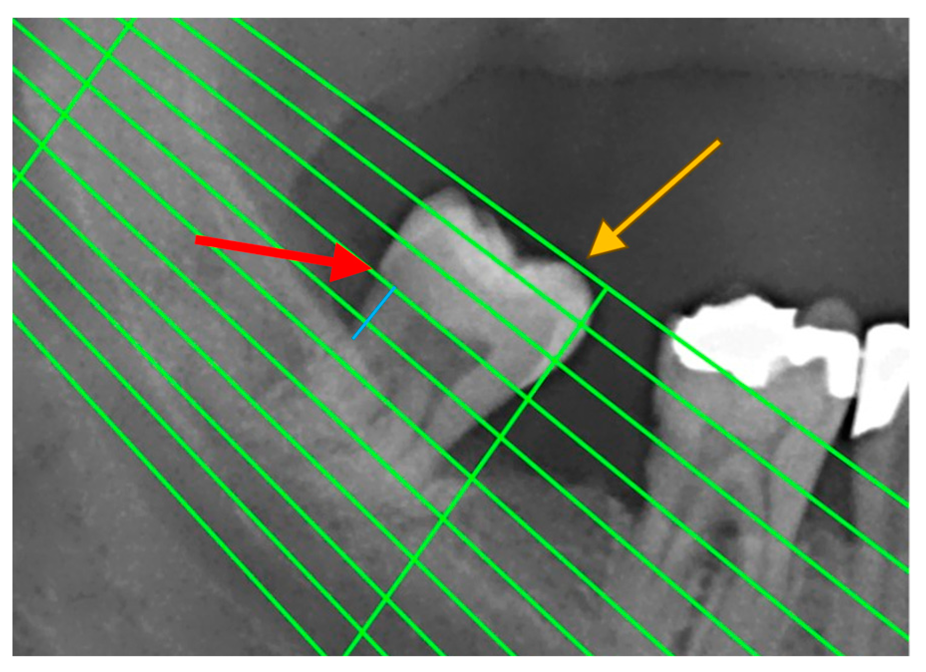 Medicina 59 02154 g001
