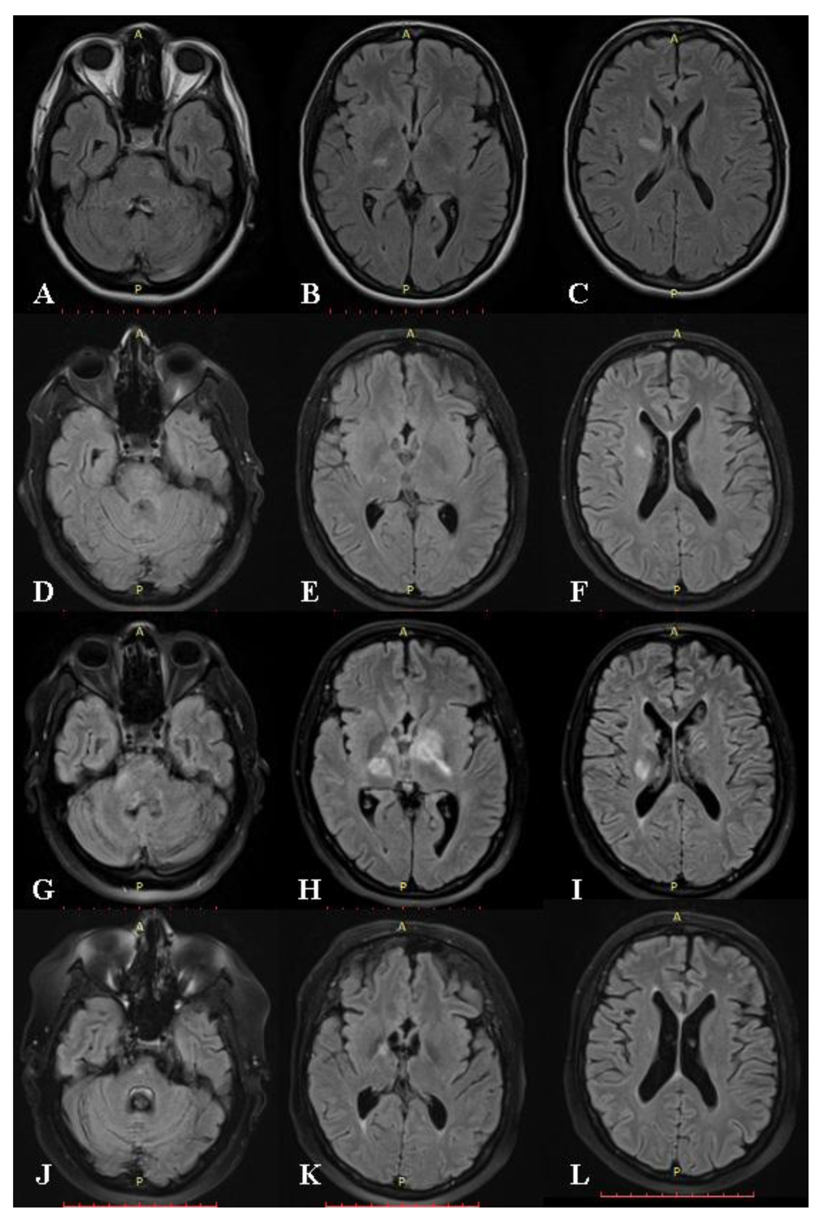 Medicina 59 02163 g002