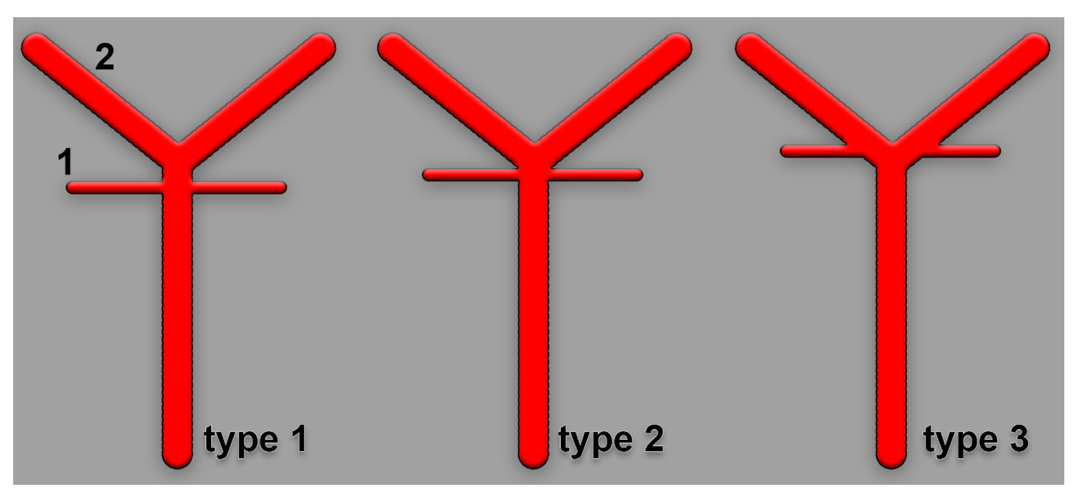 Medicina 59 02164 g001 Medicina 59 02164 g001