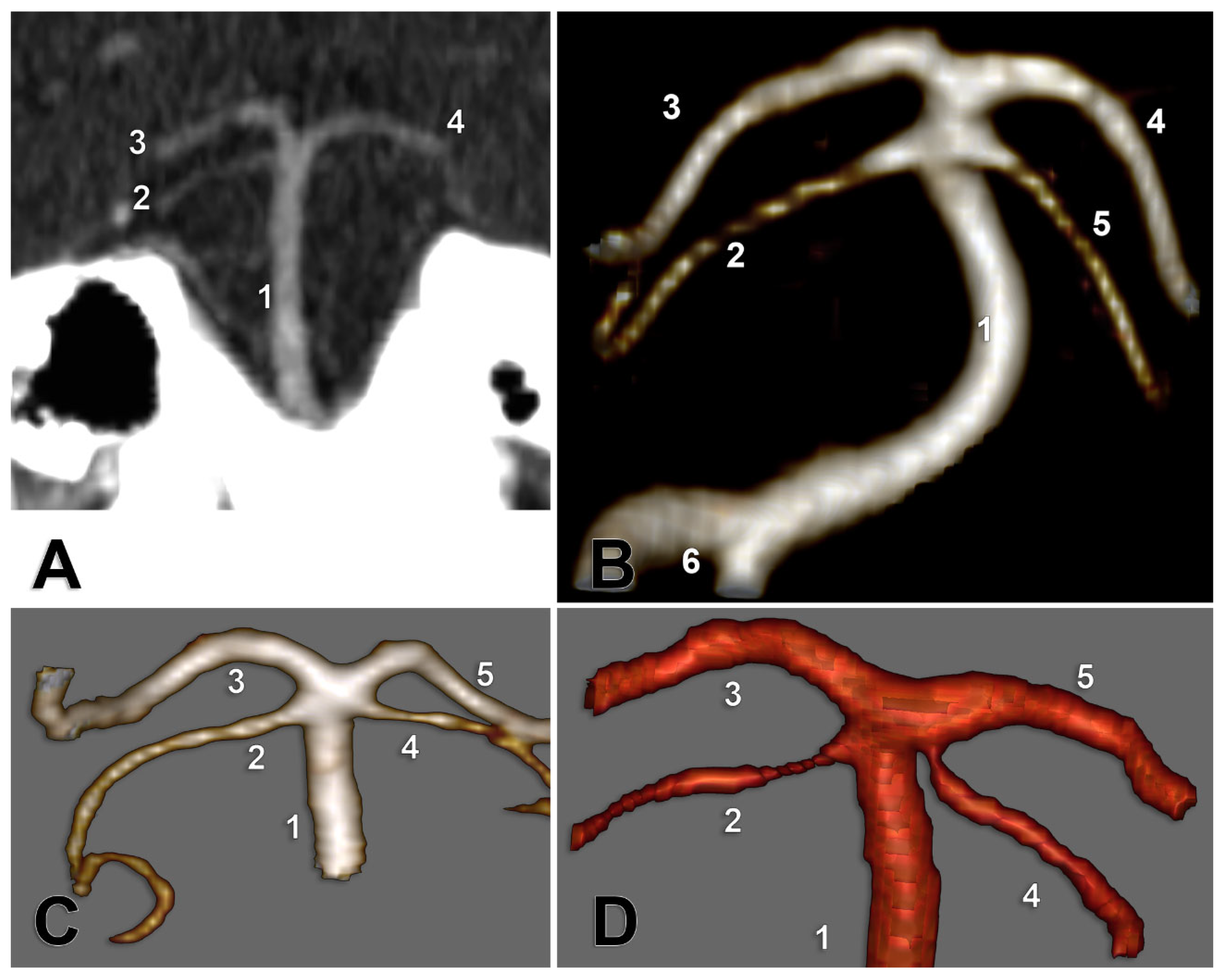 Medicina 59 02164 g003 Medicina 59 02164 g003