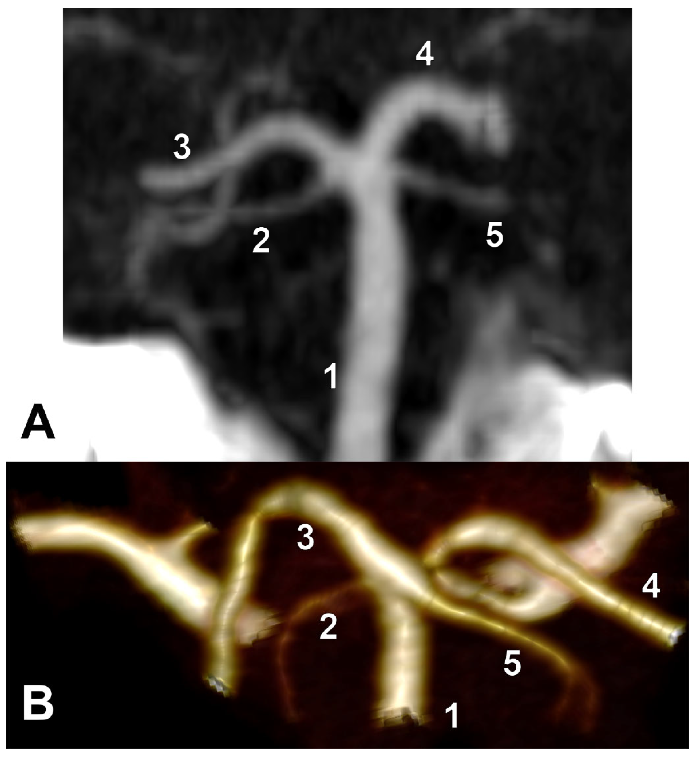 Medicina 59 02164 g004 Medicina 59 02164 g004