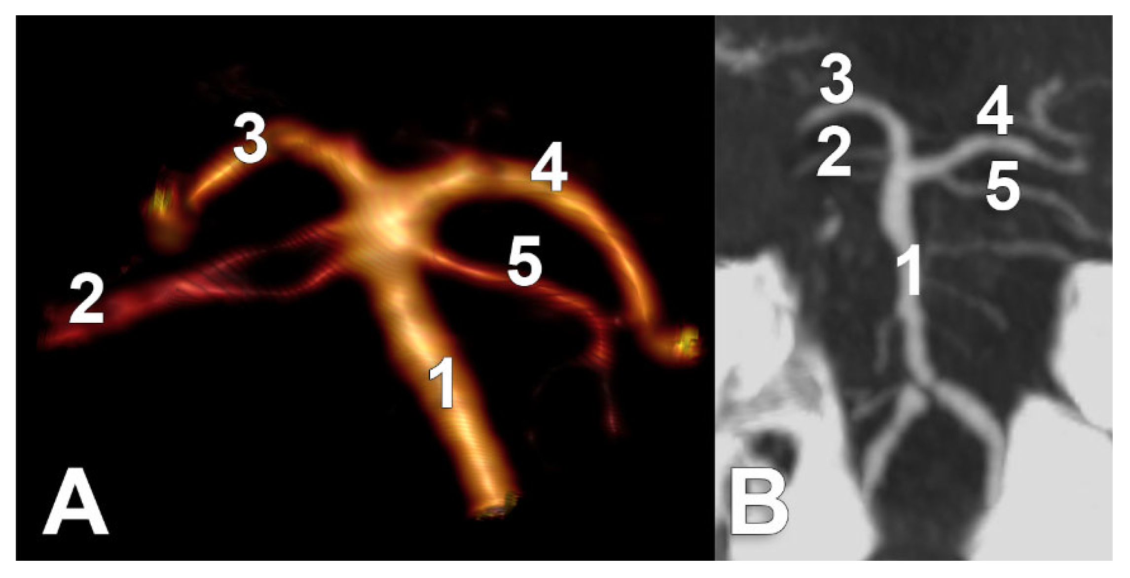 Medicina 59 02164 g007 Medicina 59 02164 g007