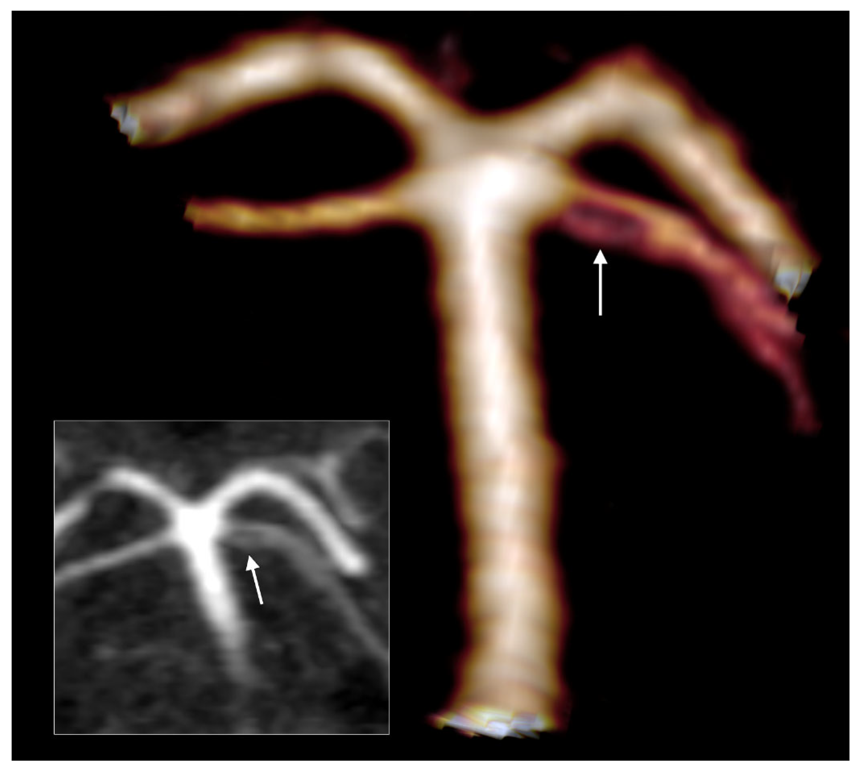 Medicina 59 02164 g008 Medicina 59 02164 g008