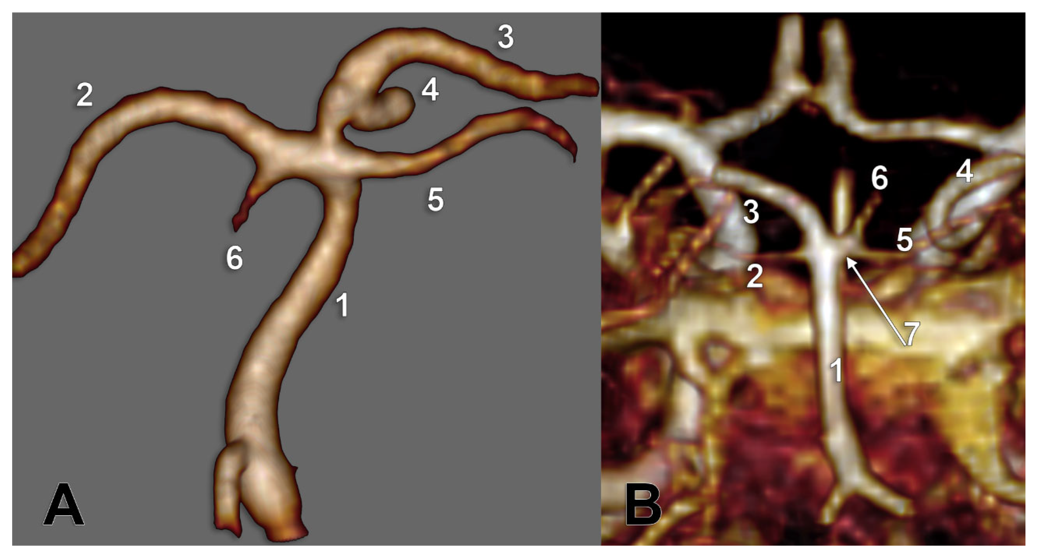 Medicina 59 02164 g010 Medicina 59 02164 g010