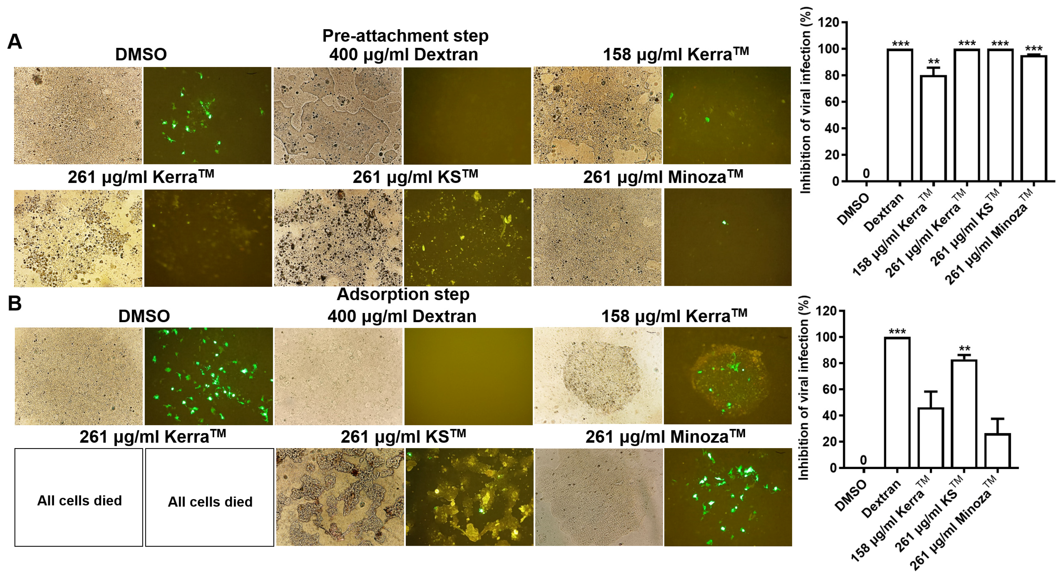 Medicina 59 02169 g001