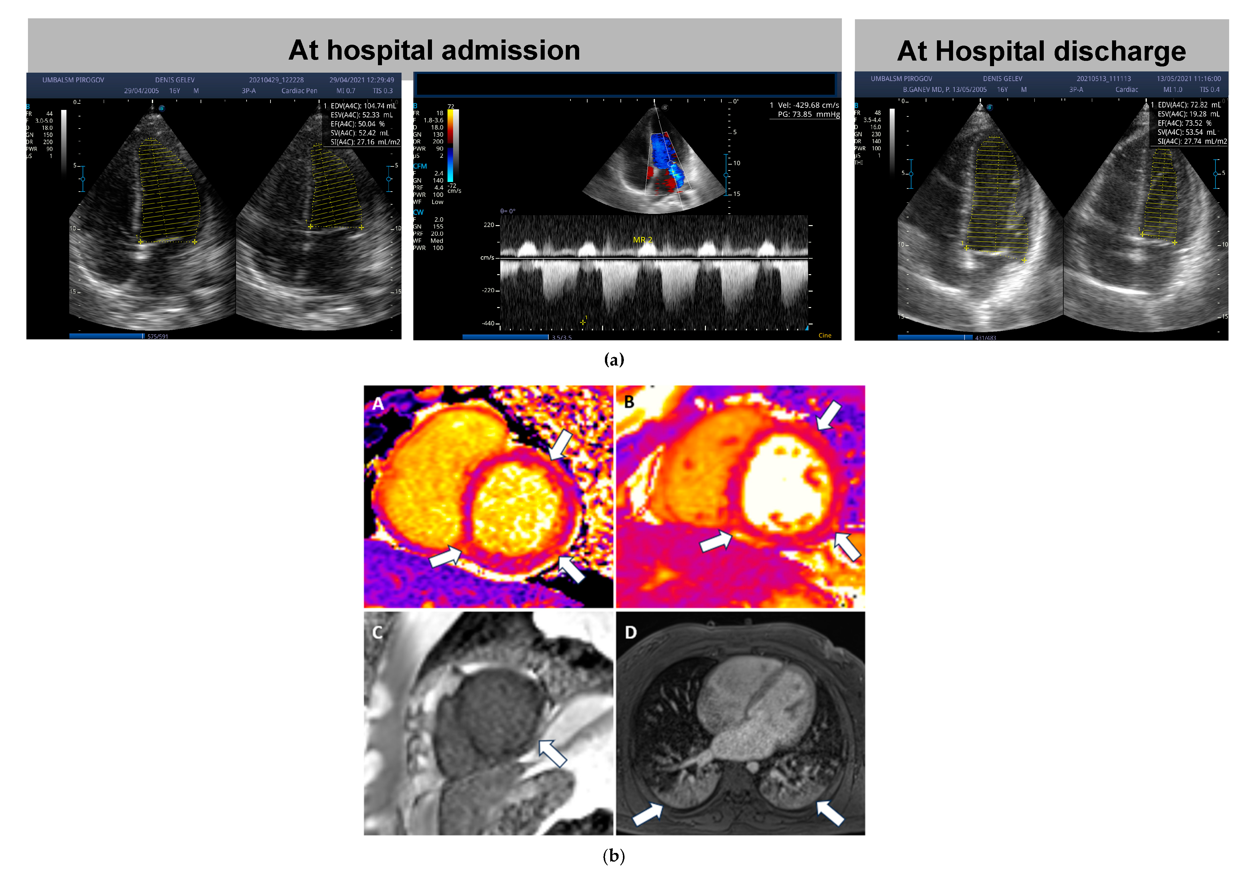Medicina 59 02175 g003