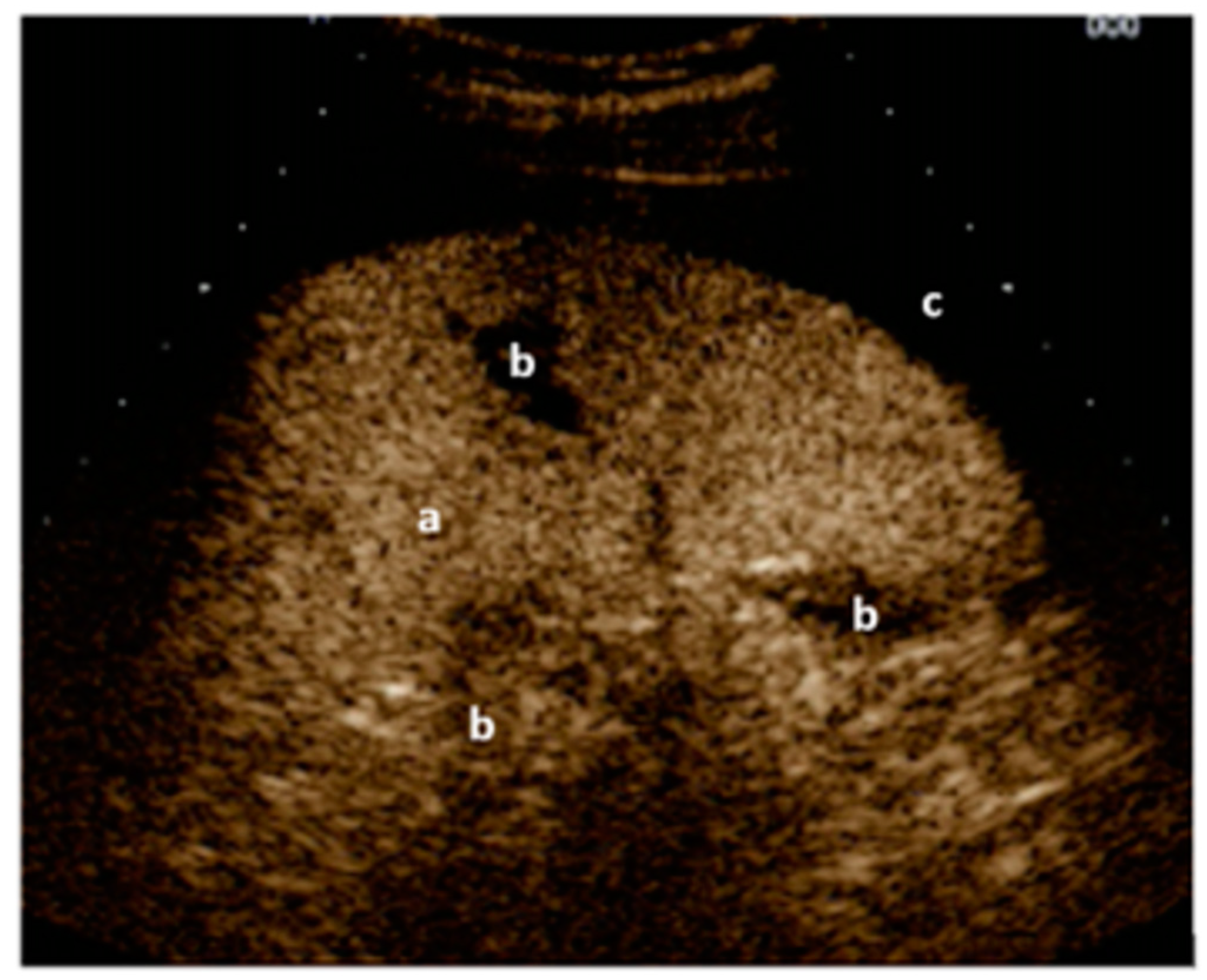 Medicina 59 02179 g002