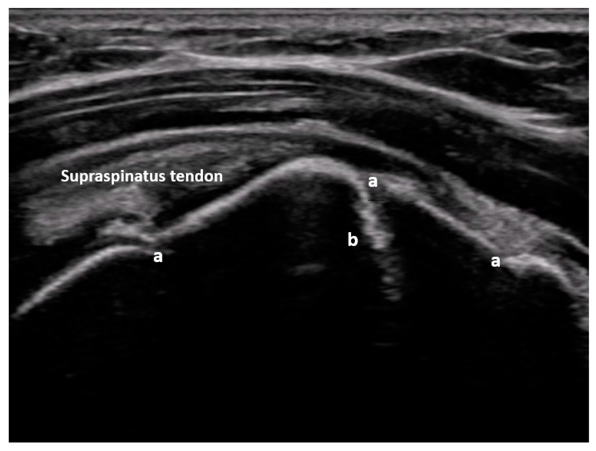 Medicina 59 02179 g004