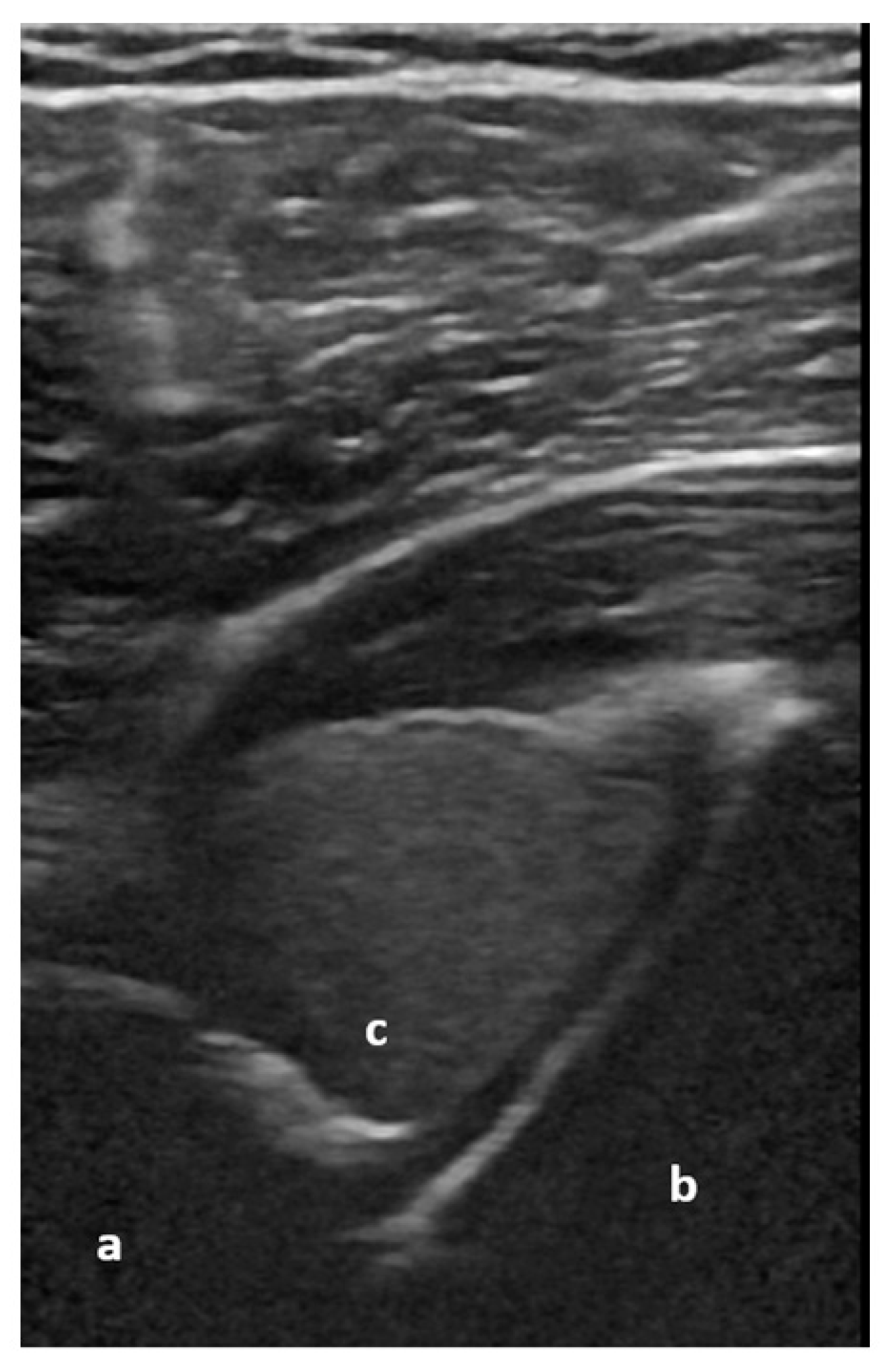 Medicina 59 02179 g005