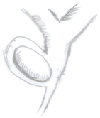 Medicina 60 00012 i002