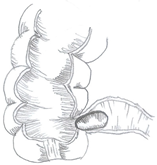 Medicina 60 00012 i006