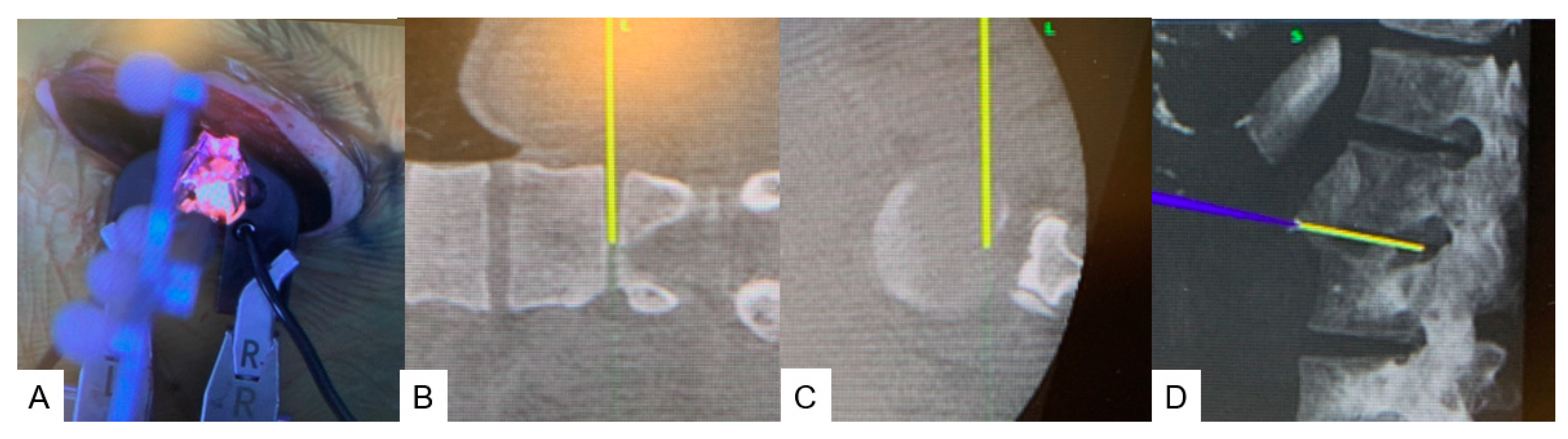 Medicina 60 00020 g004