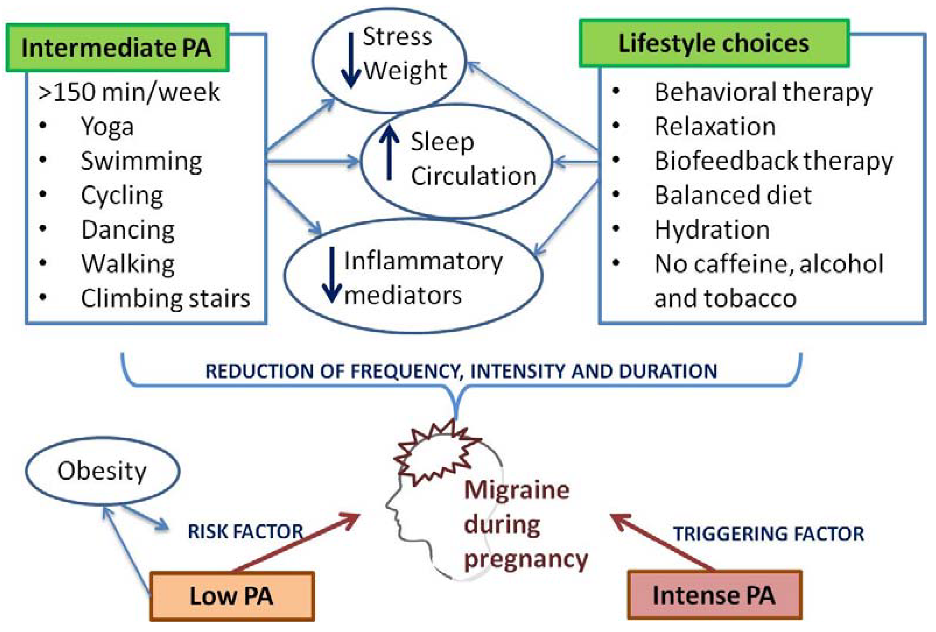 Medicina 60 00049 g004