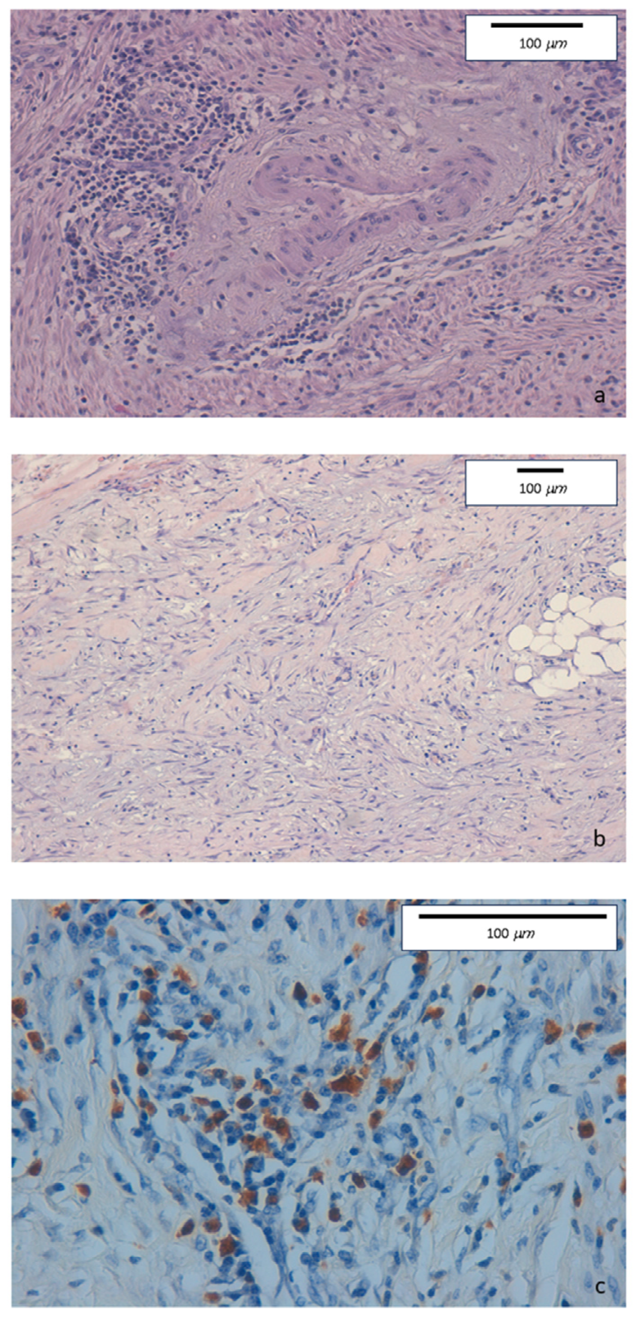 Medicina 60 00057 g001