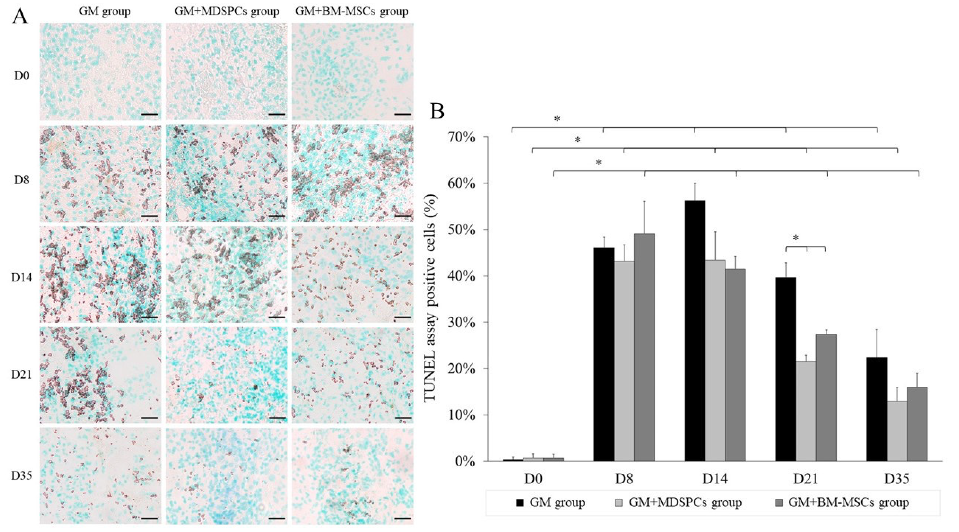 Medicina 60 00063 g005