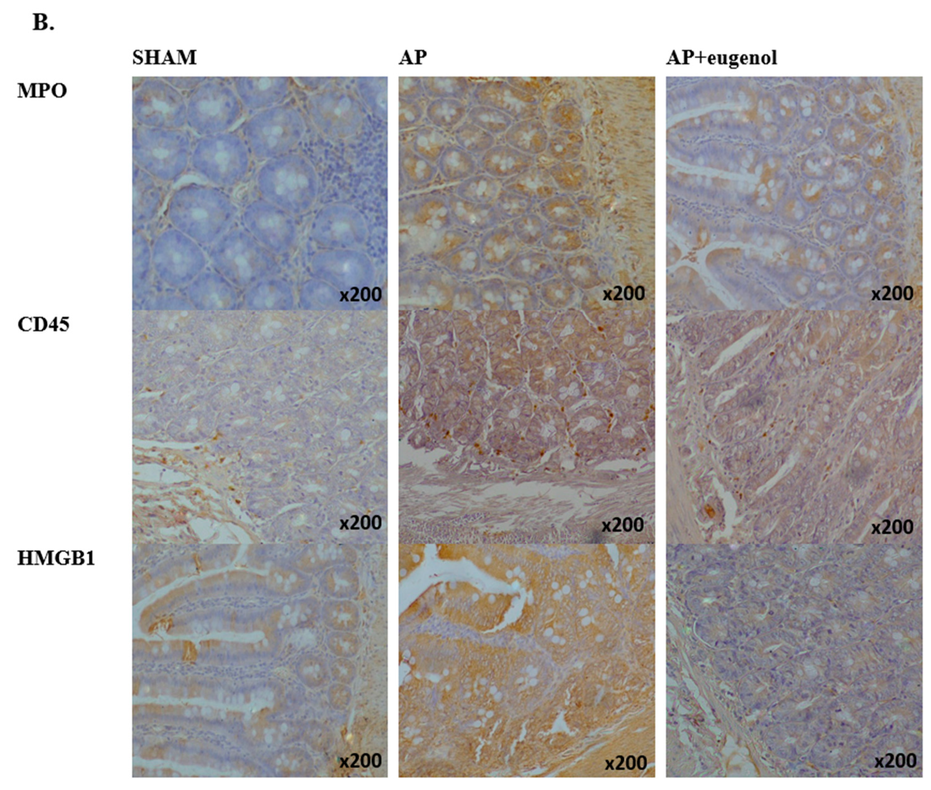 Medicina 60 00074 g003b Medicina 60 00074 g003b