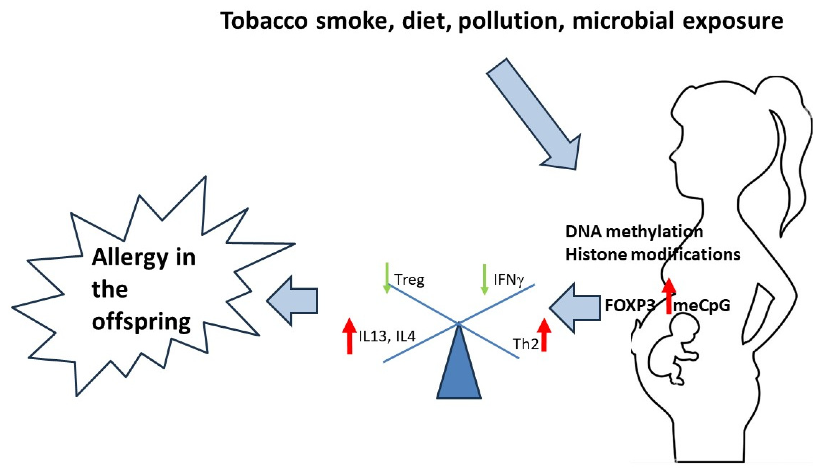 Medicina 60 00110 g001 Medicina 60 00110 g001