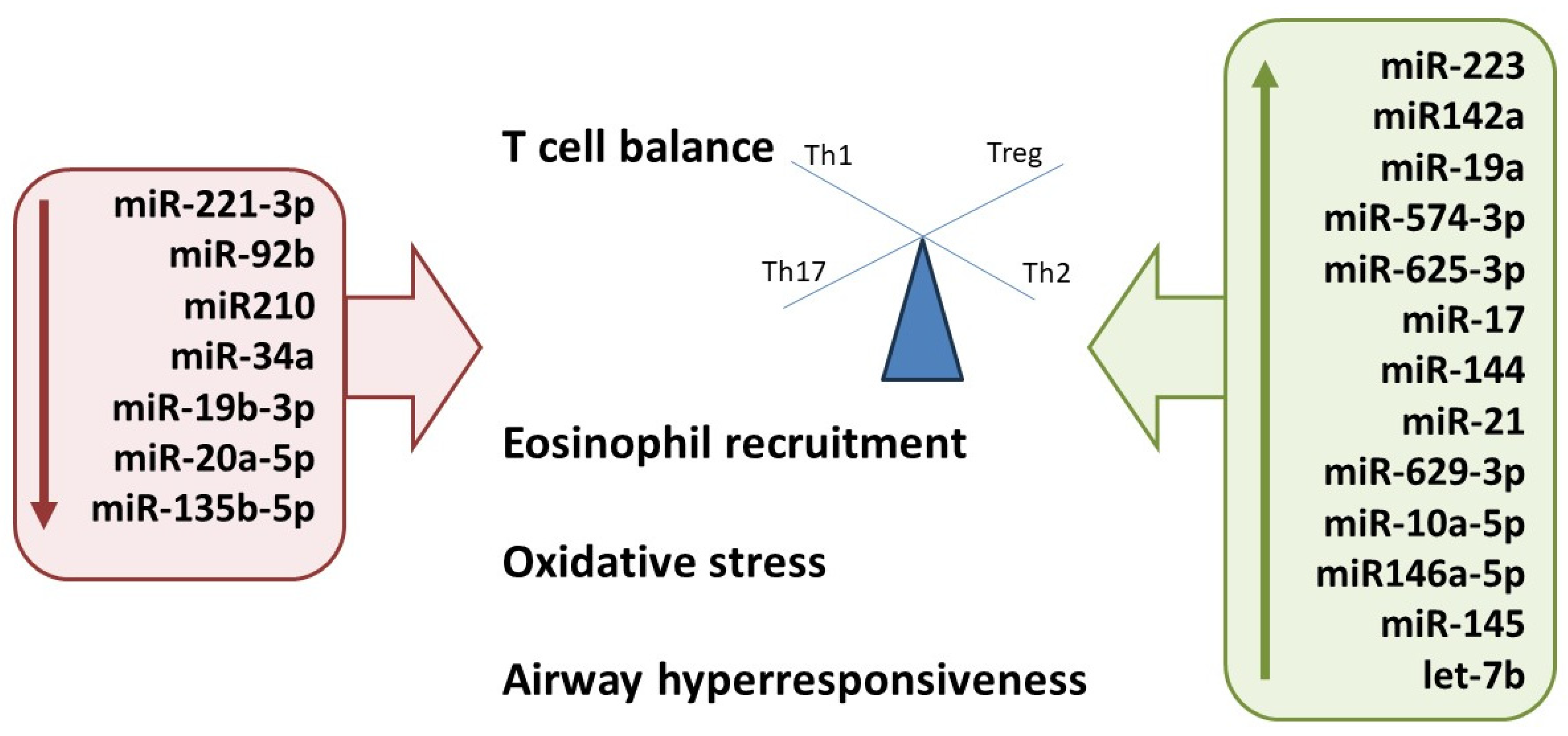 Medicina 60 00110 g002 Medicina 60 00110 g002