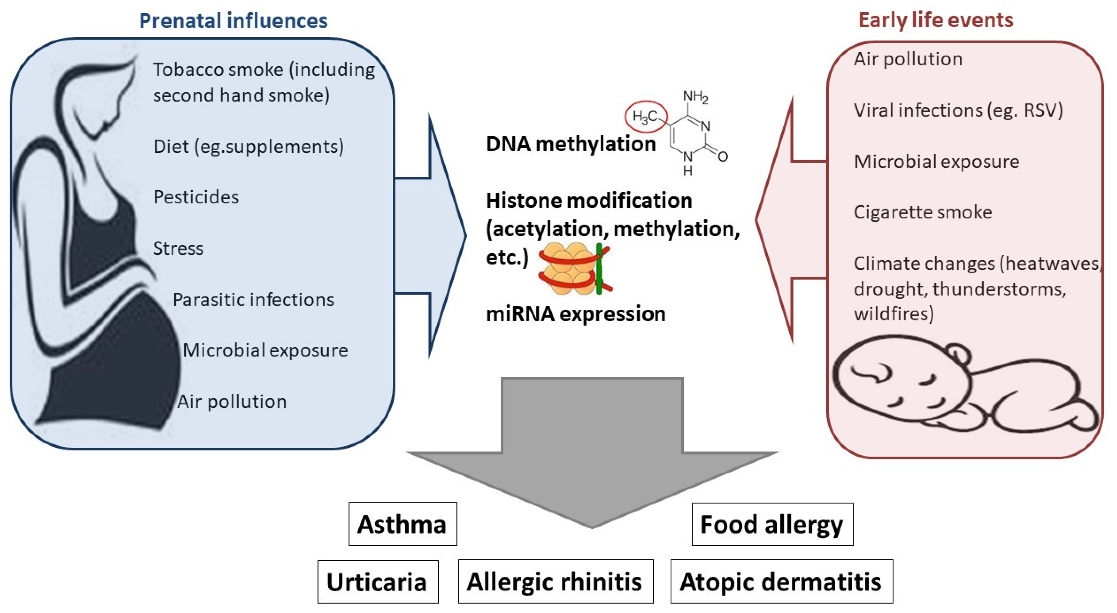 Medicina 60 00110 g003 Medicina 60 00110 g003