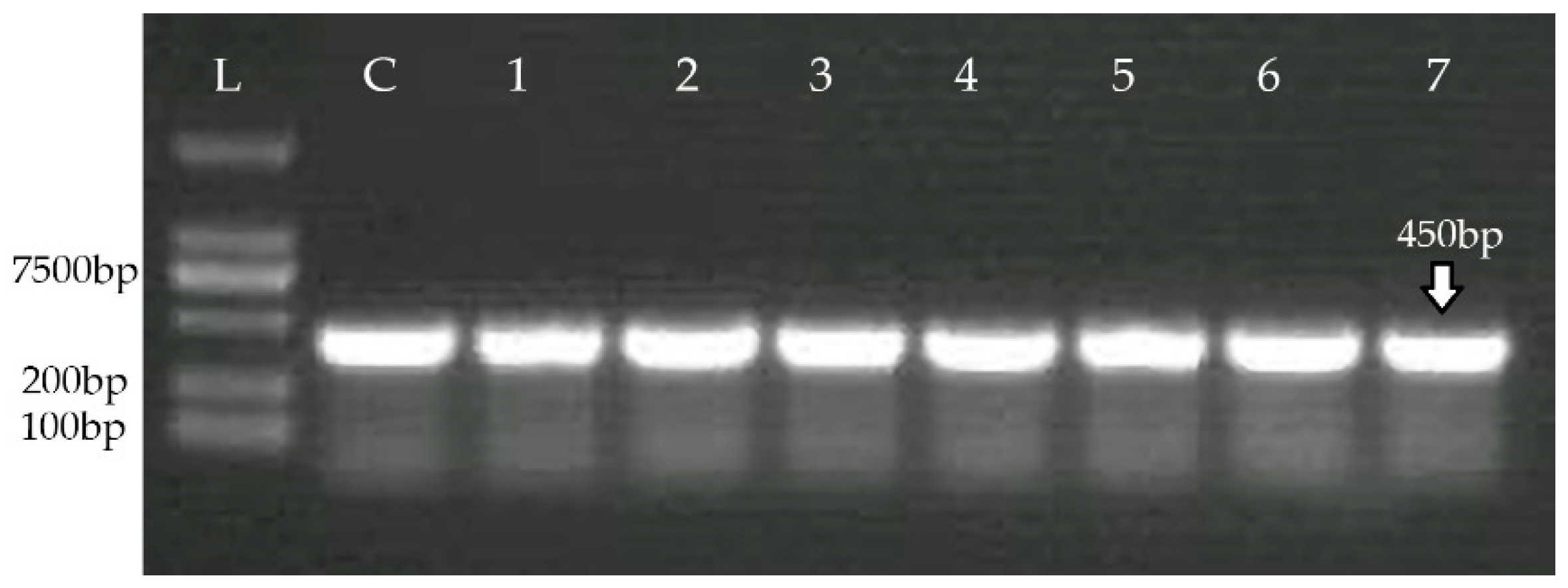 Medicina 60 00130 g001