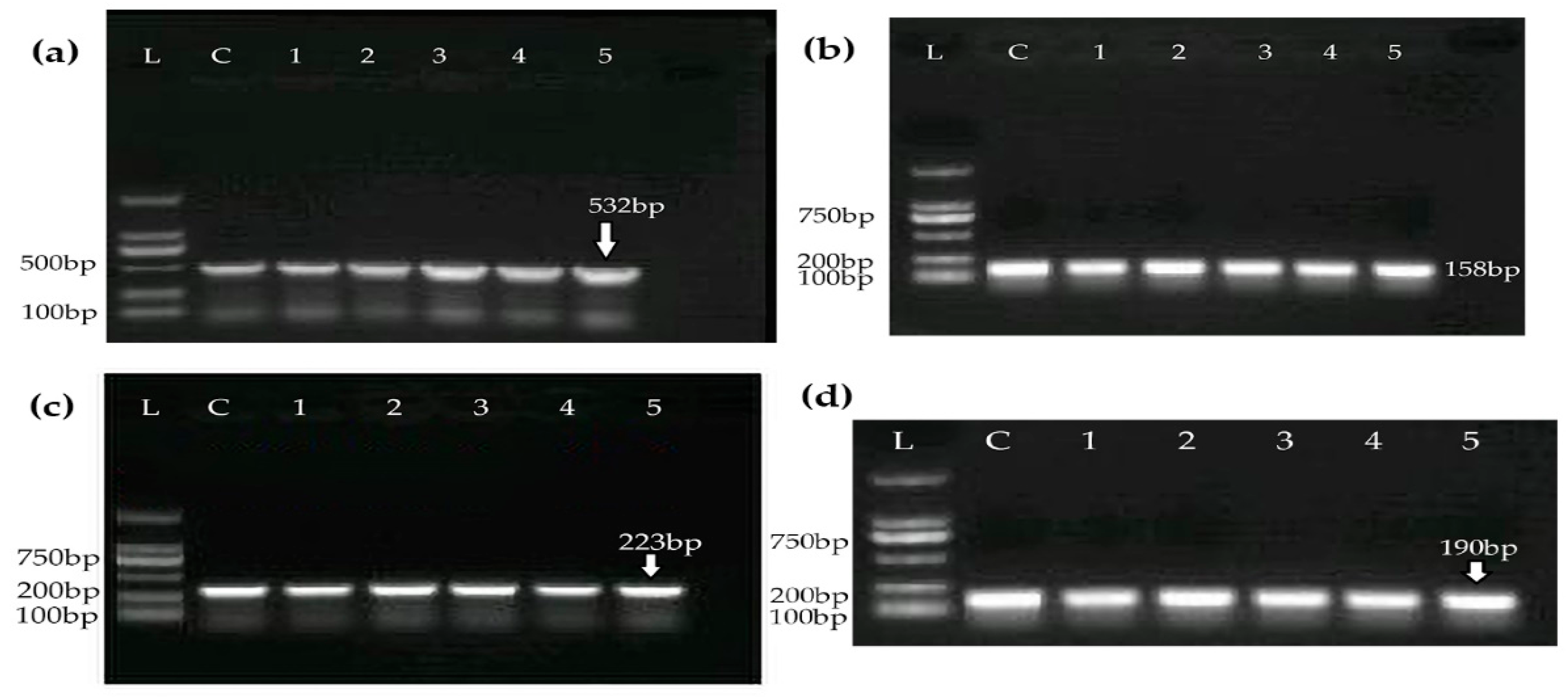 Medicina 60 00130 g002